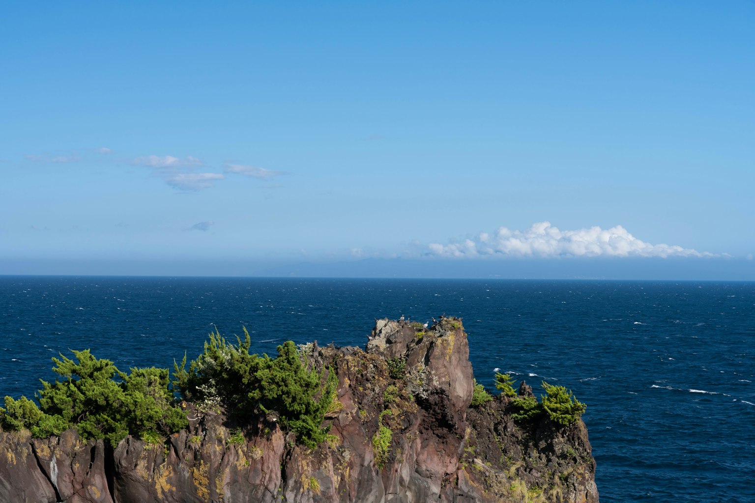 A rocky cliff with greenery overlooking a blue ocean under a clear sky