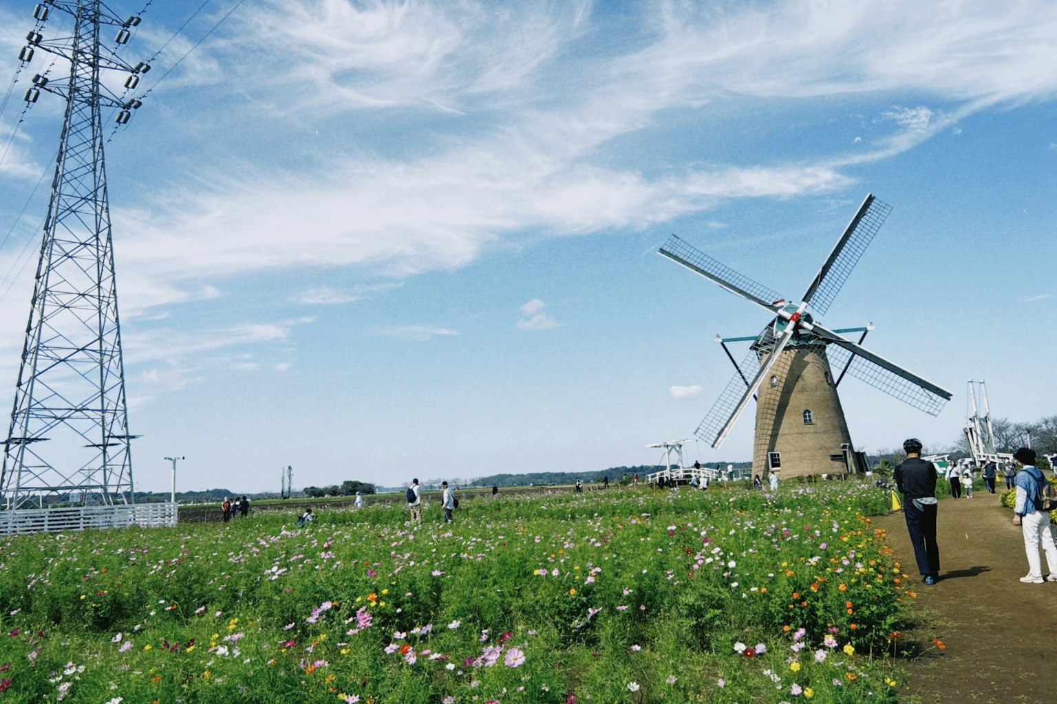 Paisaje con un molino de viento y un campo de flores bajo un cielo azul