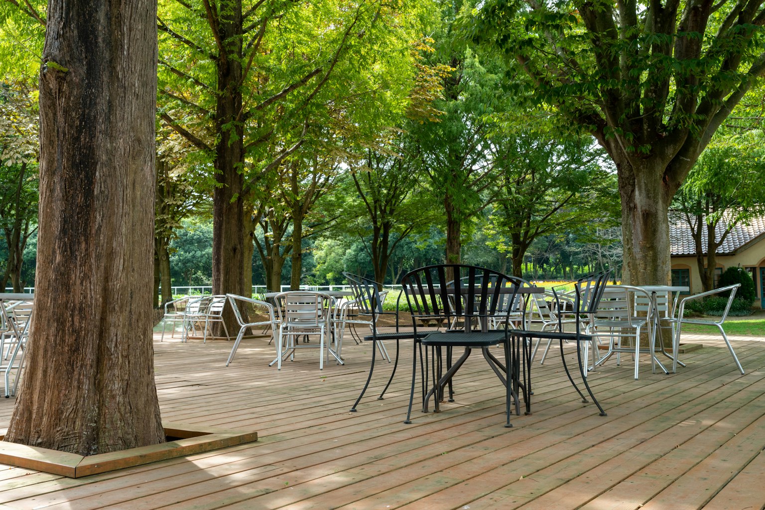 Cafe area with wooden deck surrounded by green trees featuring black and white chairs and tables