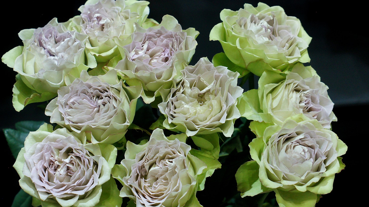 Bouquet de roses vert pâle et violet clair