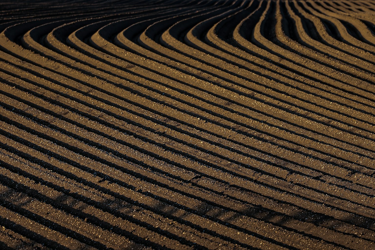 Close-up of wavy patterns in dark soil