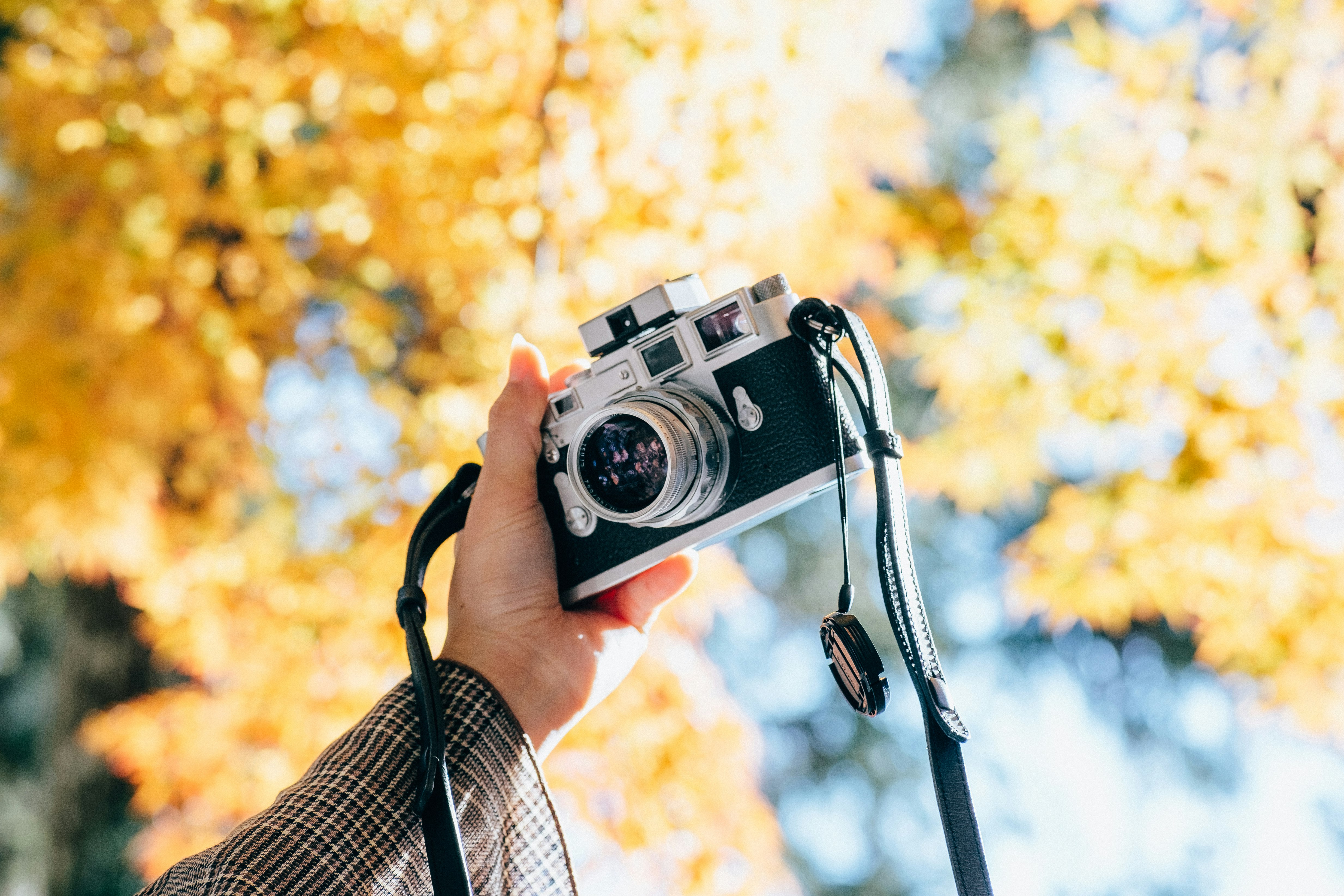 mani che tengono una fotocamera in un parco autunnale