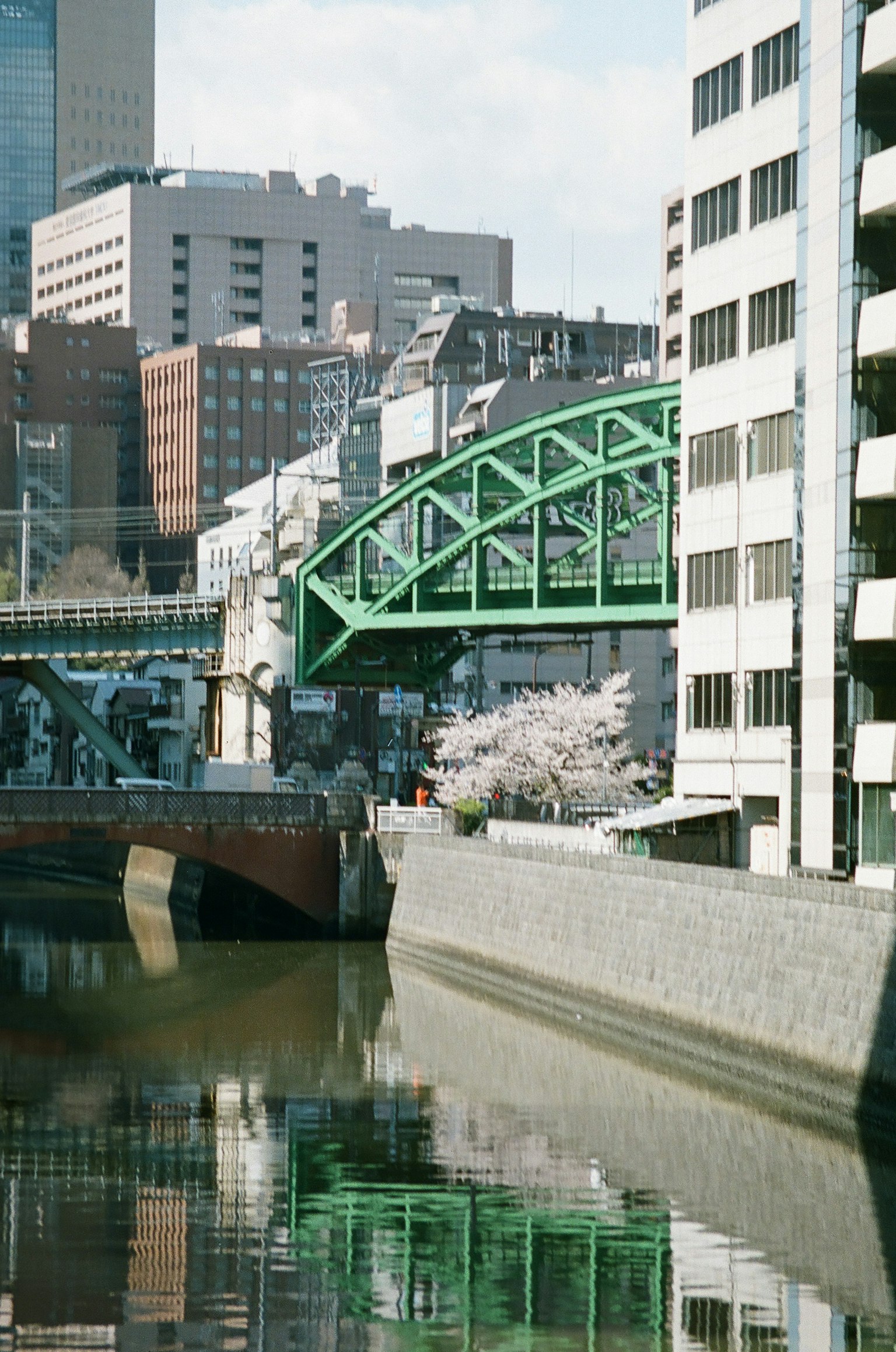 城市景观，河边樱花和绿色桥梁