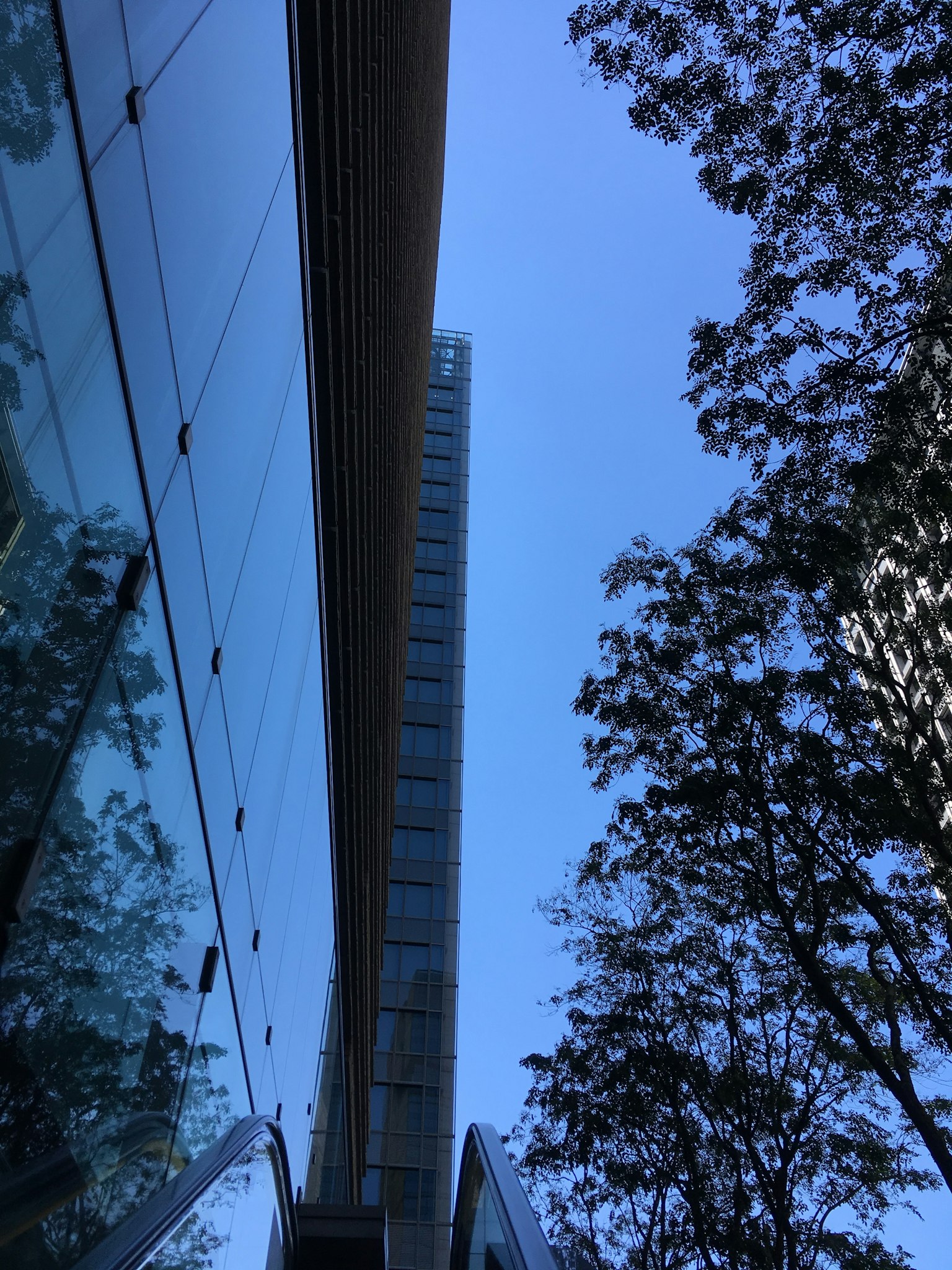 Image capturing the contrast of a skyscraper's glass facade against a blue sky