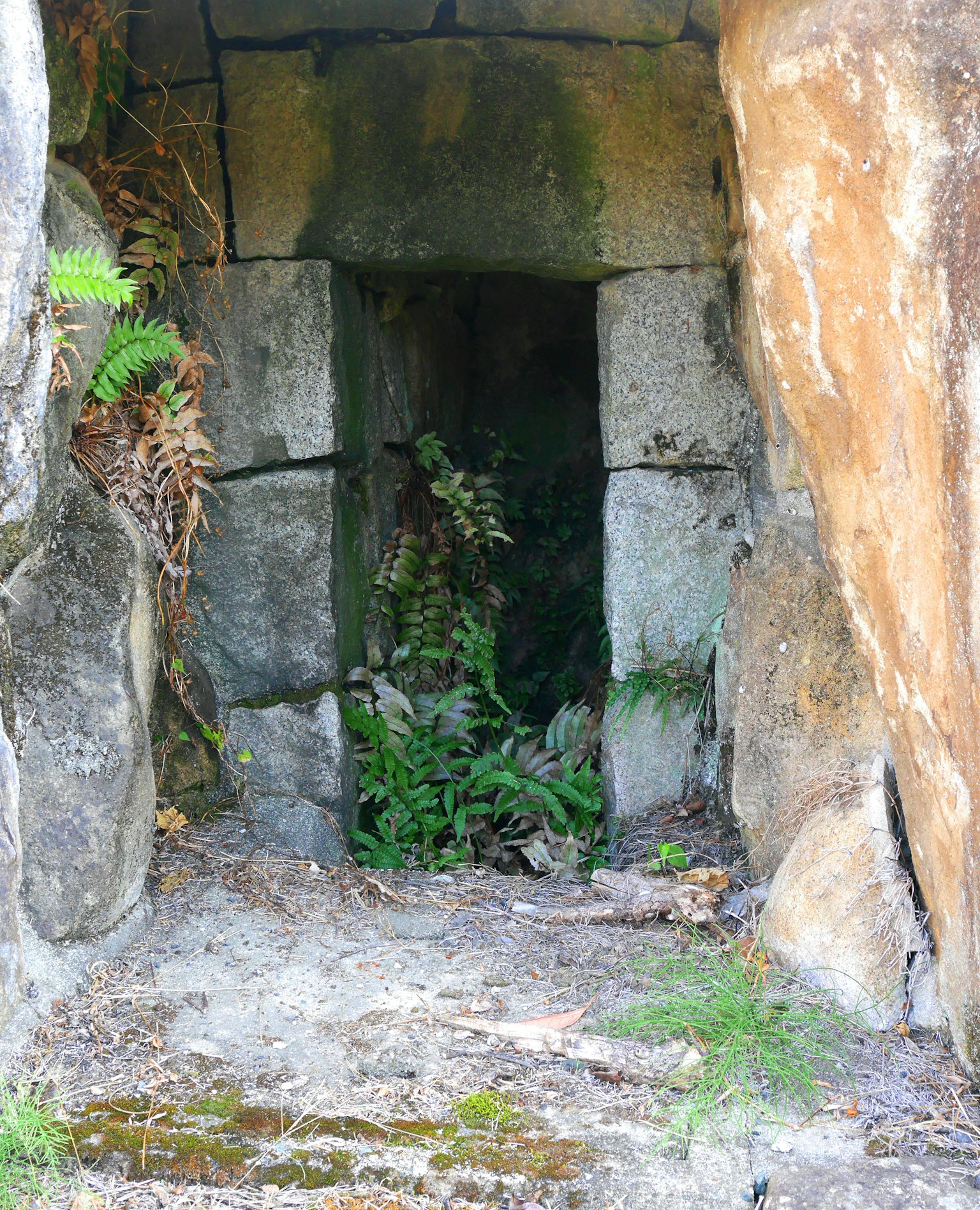 Pintu masuk yang dibingkai oleh batu dengan tanaman hijau di dalamnya