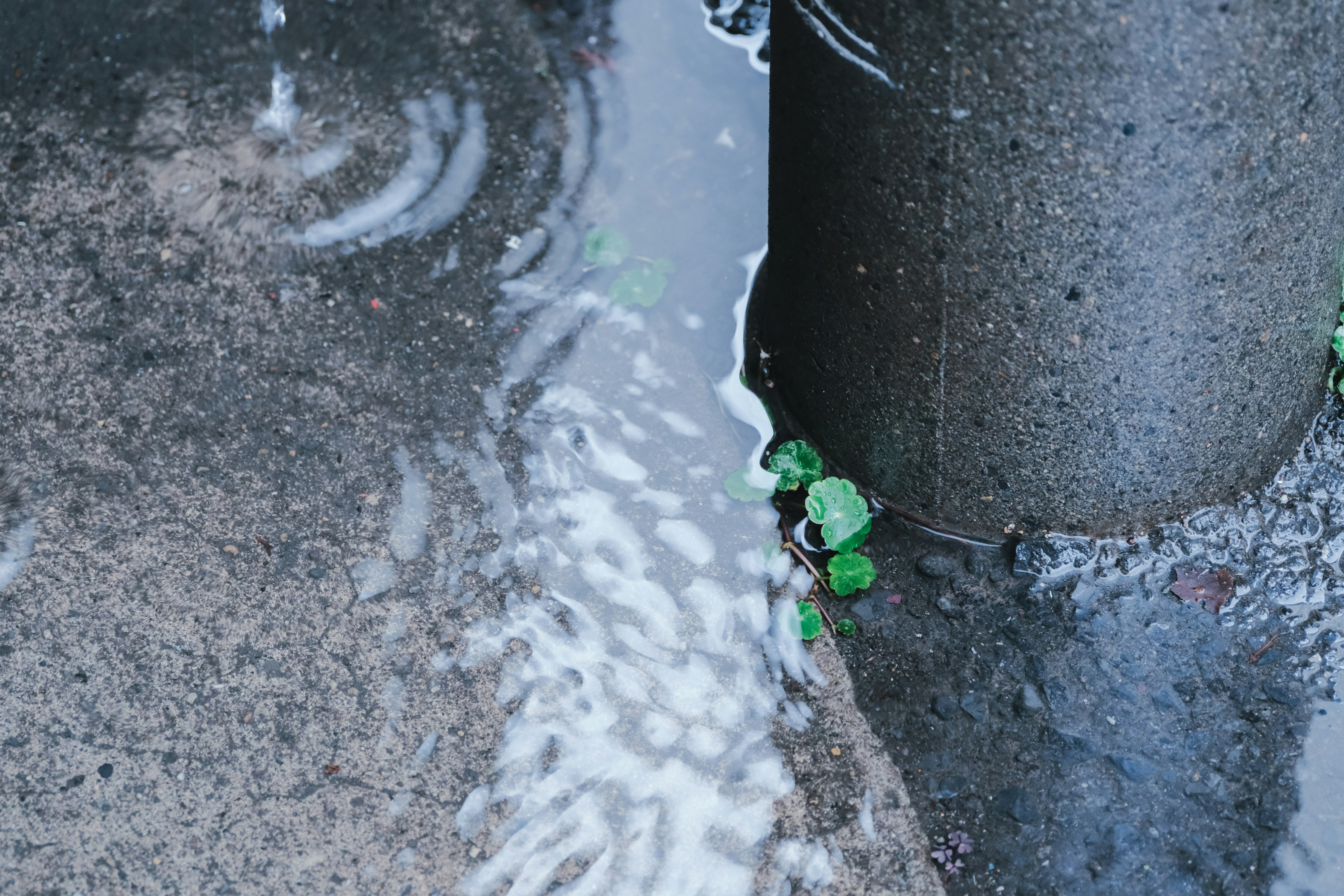 雨の日の濡れた路面と水たまり、傘のない足元