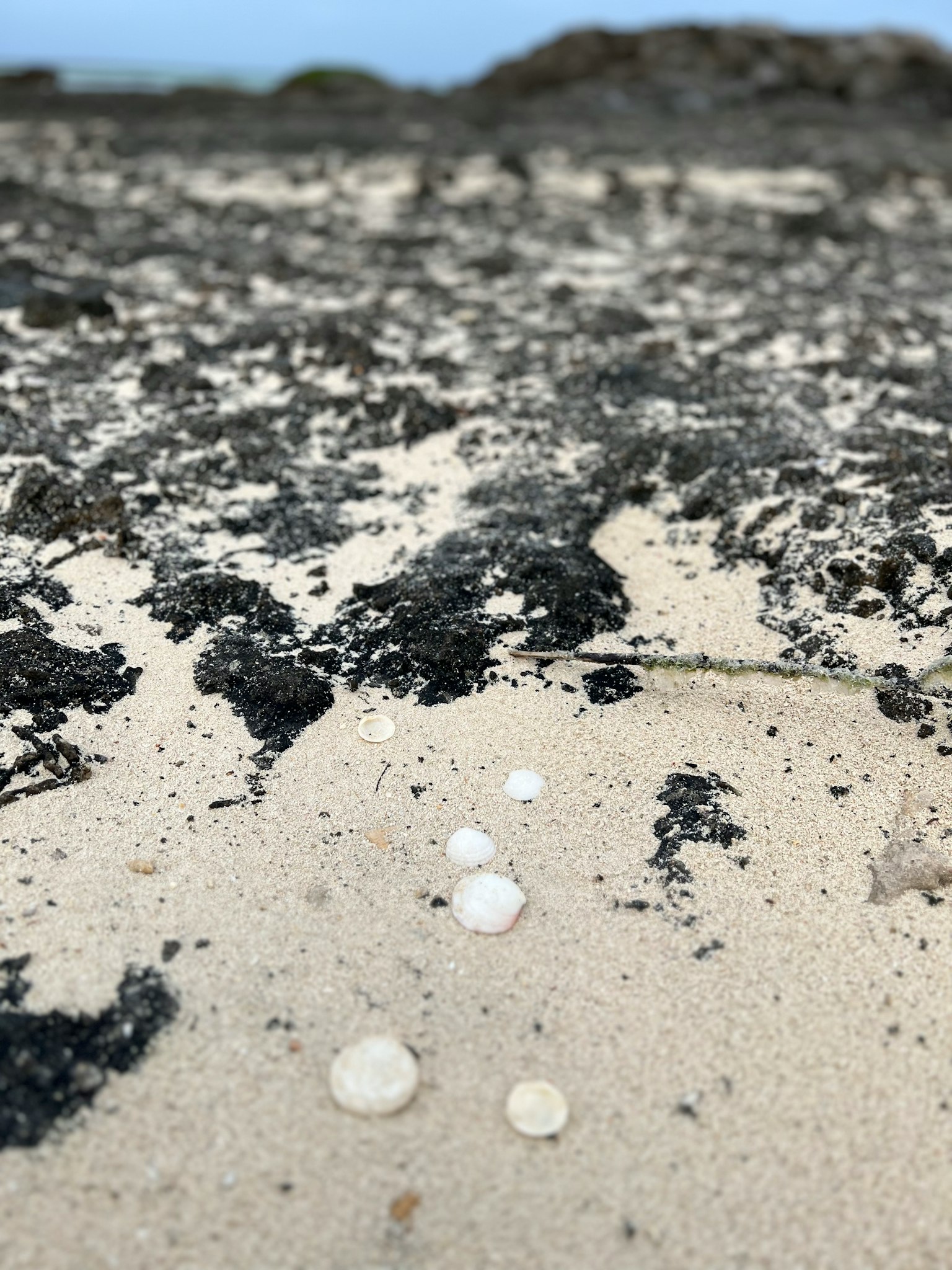 Gros plan sur des rochers noirs et des gouttes d'eau sur une plage de sable