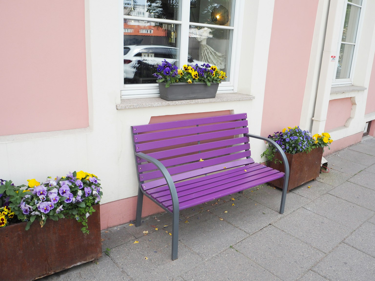 Lila Bank vor einer rosa Wand mit Blumenkübeln