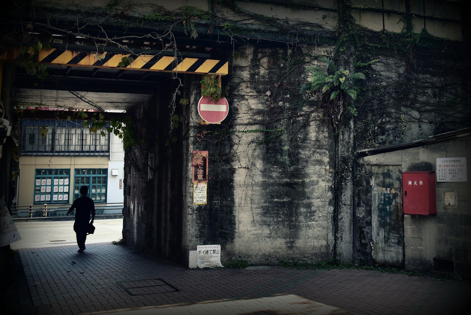 Une personne se tenant à l'entrée d'un vieux tunnel avec des plantes vertes grimpant sur le mur