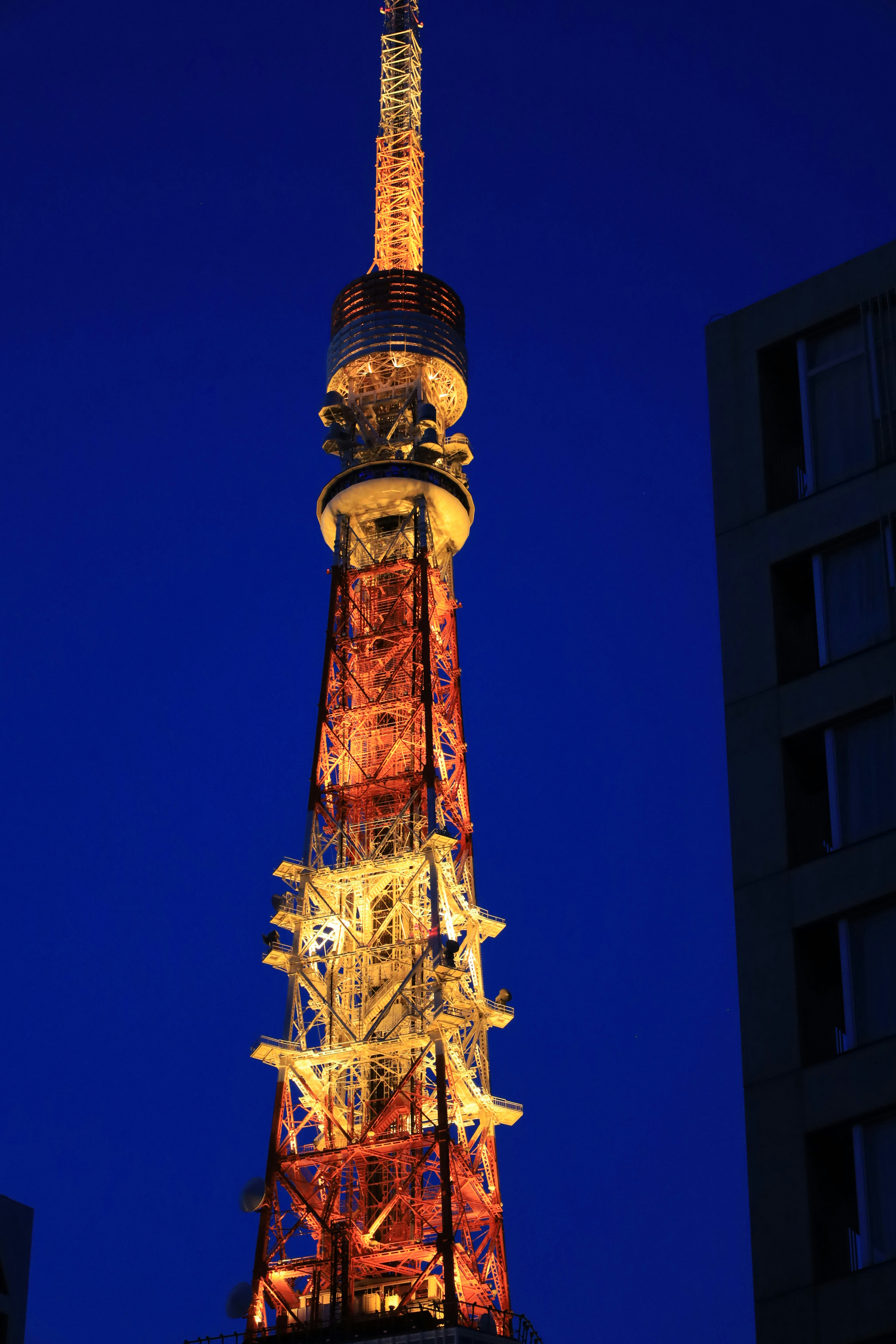 夜空にそびえる東京タワーの赤と青のライトアップ