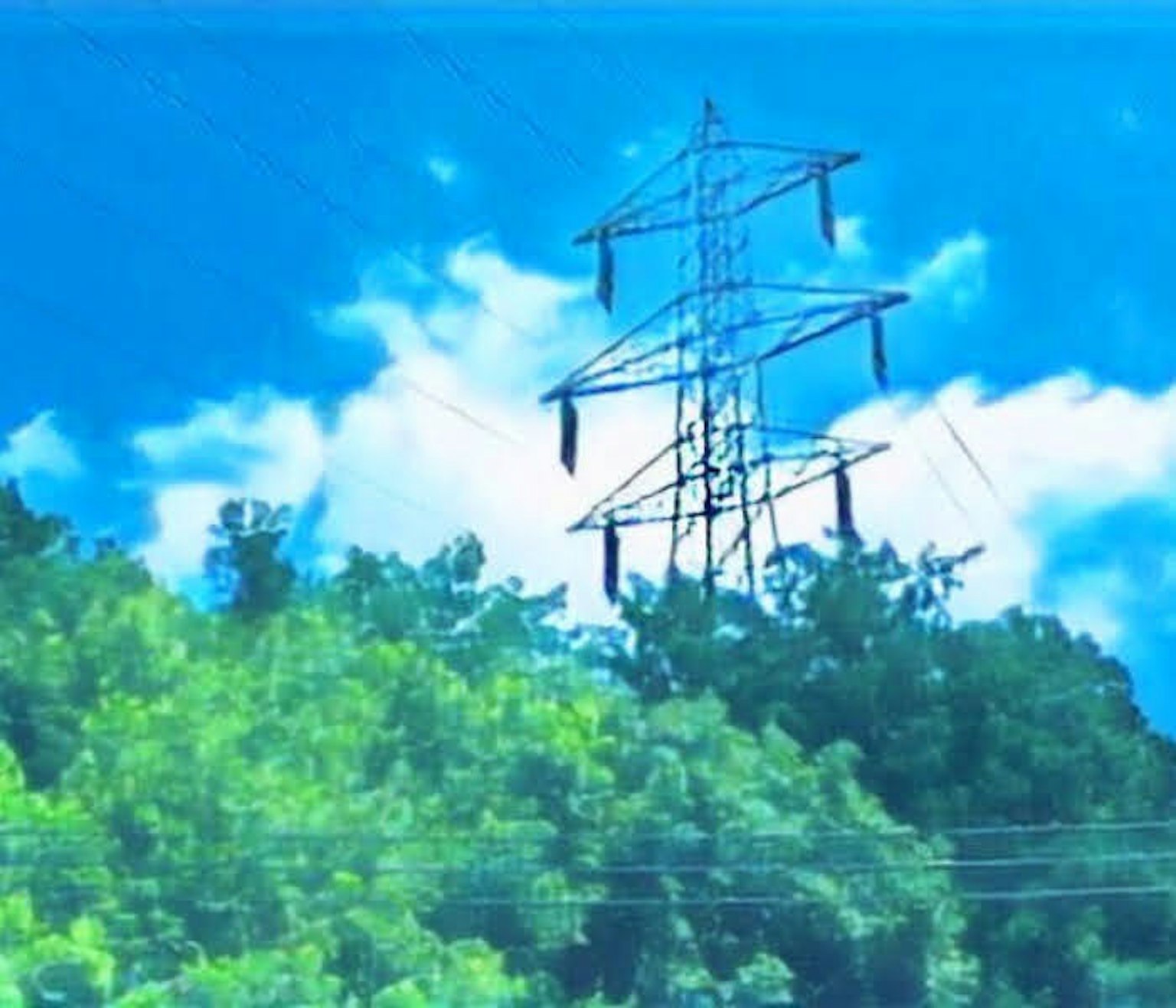 高压电线在蓝天和白云的背景下与郁郁葱葱的绿树相映成趣