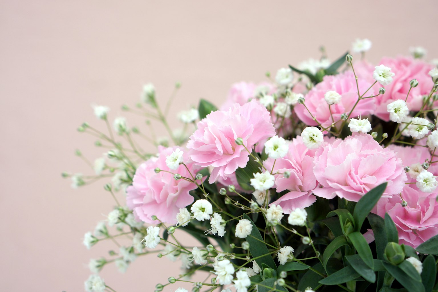 Strauß aus rosa Rosen und Schleierkraut vor einem sanften rosa Hintergrund