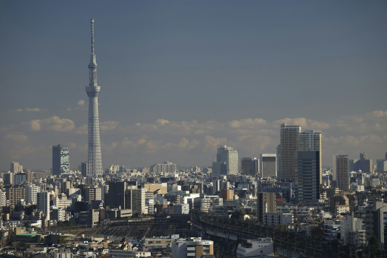 背景中有东京天空树的城市风景