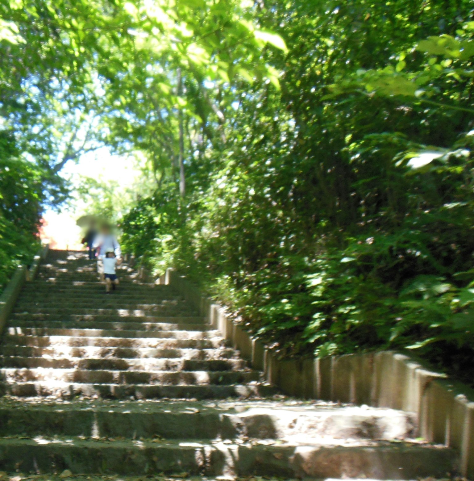 Niño subiendo escaleras de piedra rodeado de vegetación exuberante