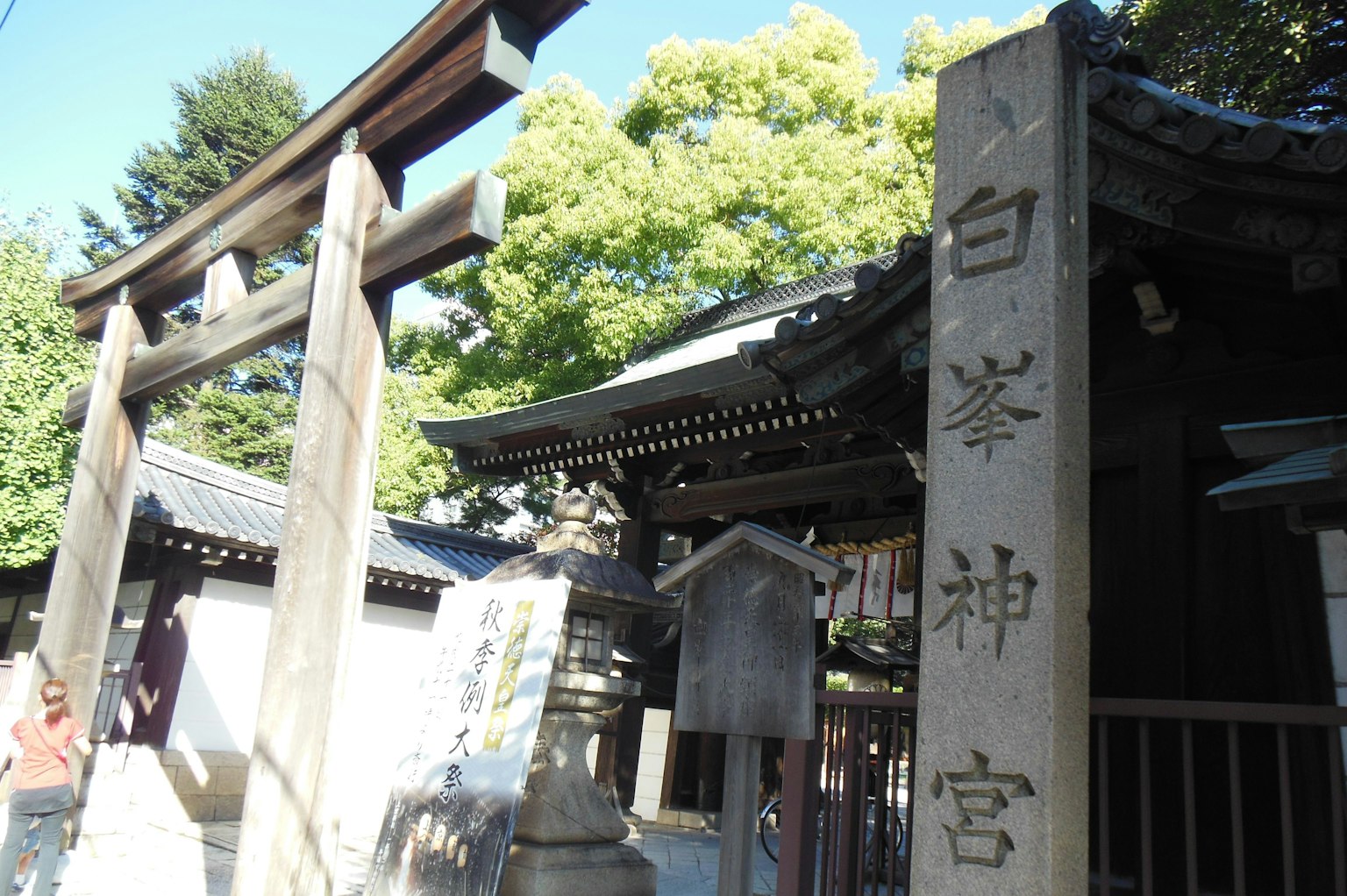 Cảnh vật của đền Shiragiku với cổng torii và các tòa nhà đền
