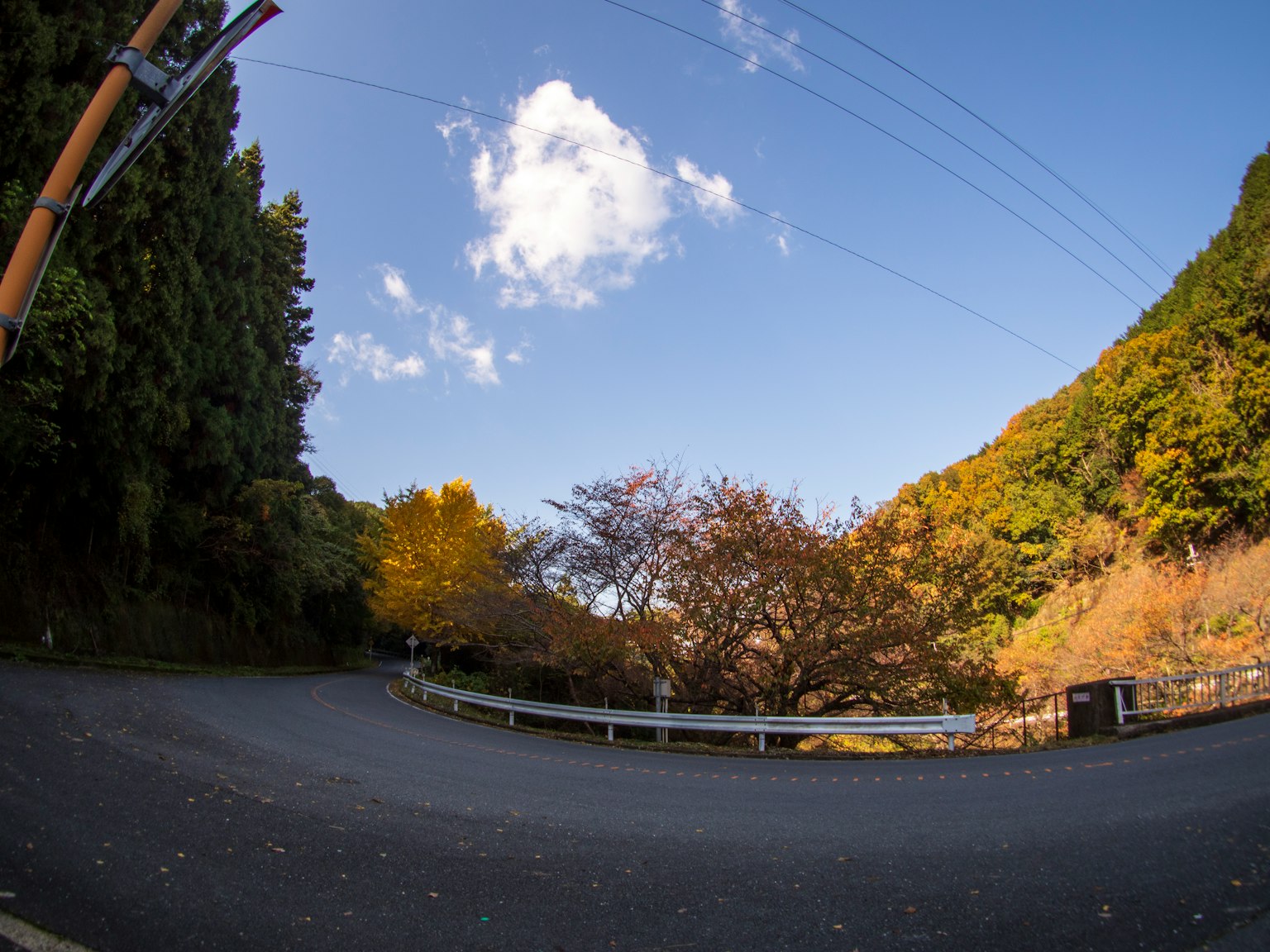 Carretera curva en un paisaje otoñal con árboles coloridos