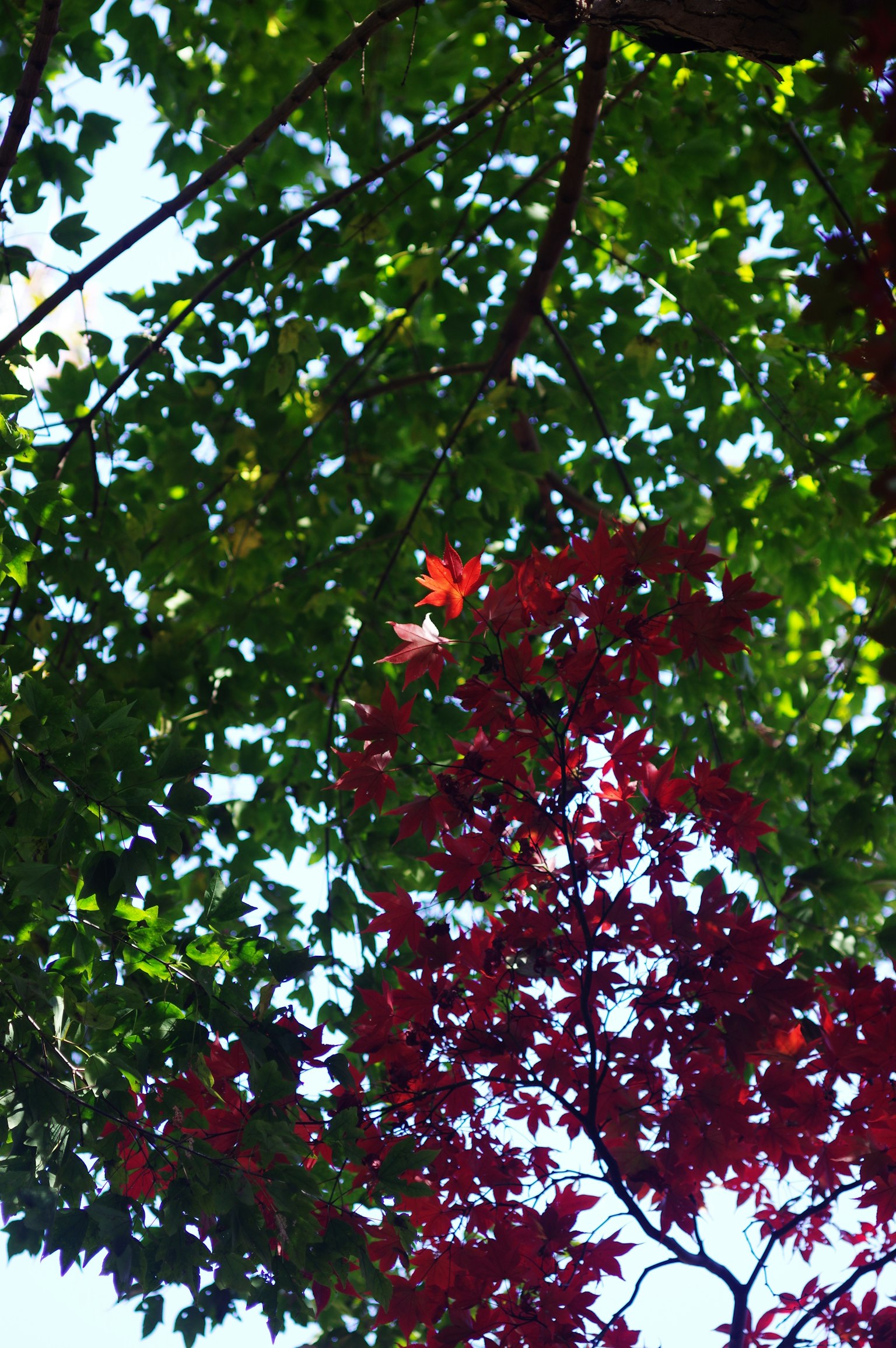 暗い背景にシンプルなデザインのグレーの四角形