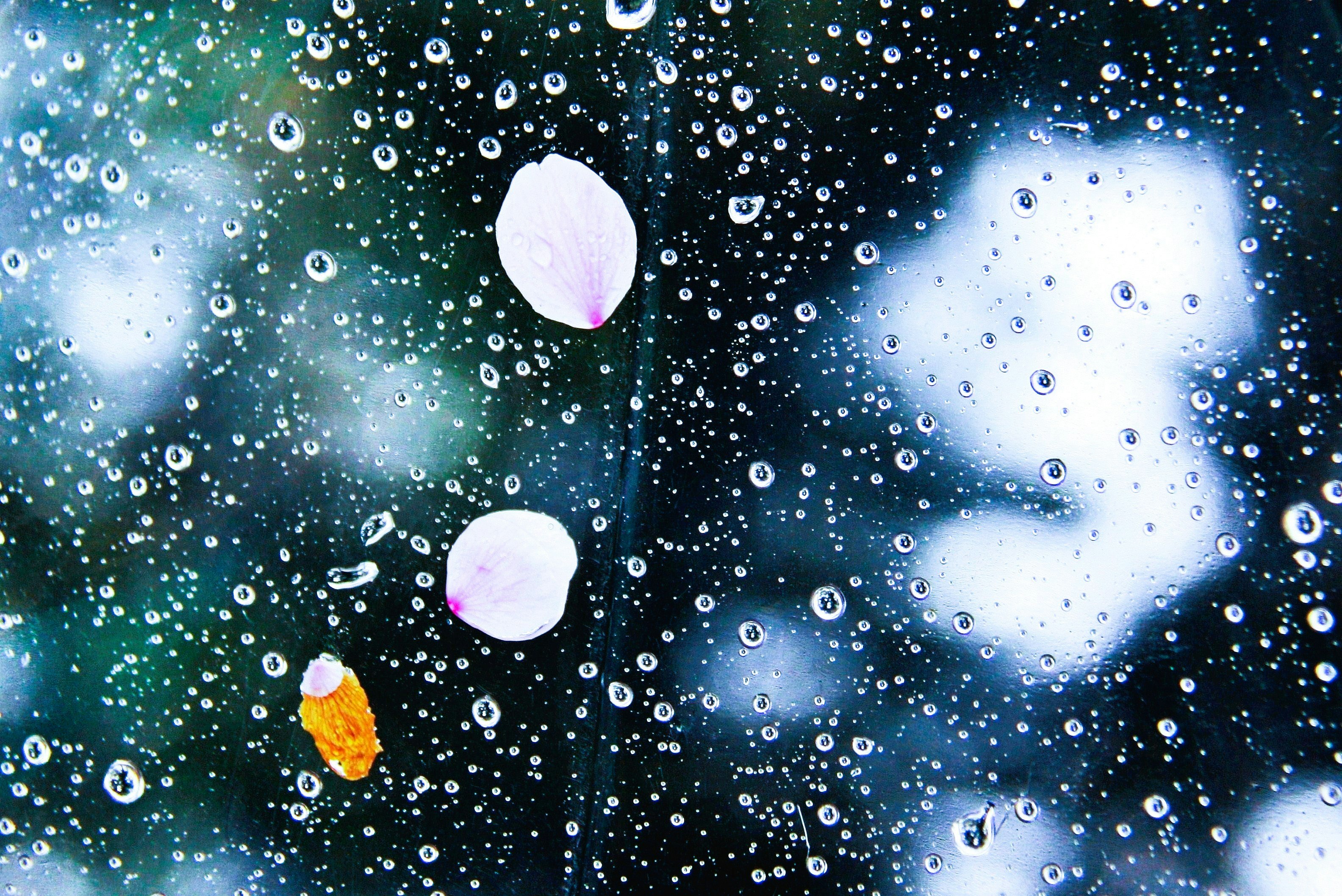 Gotas de lluvia reflejadas en un paraguas