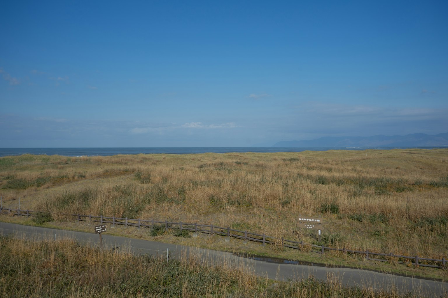 Vue expansive de prairie et d'océan sous un ciel bleu