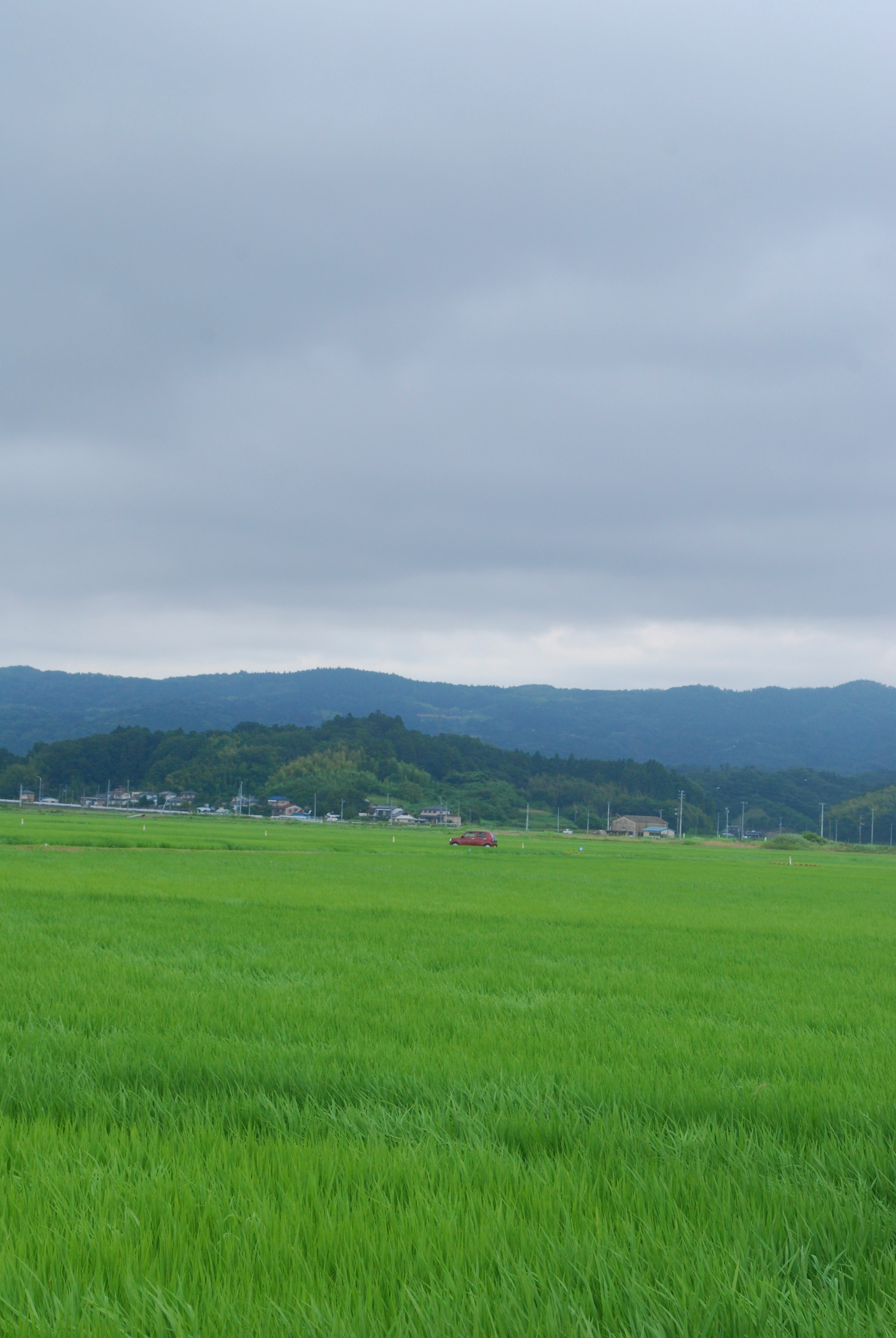 広がる緑の田んぼと遠くの山並みの風景