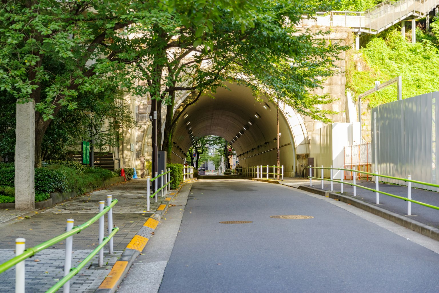 Entrée d'un tunnel entouré de verdure avec une route pavée