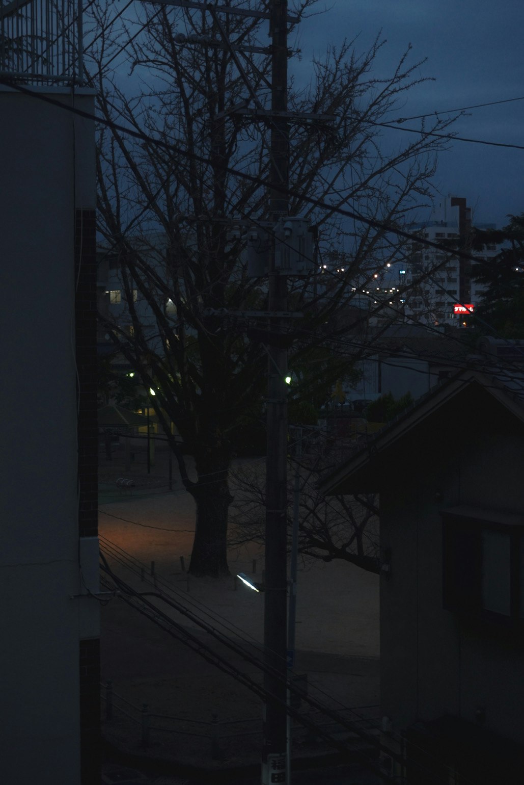 night alley with streetlights and tree silhouettes