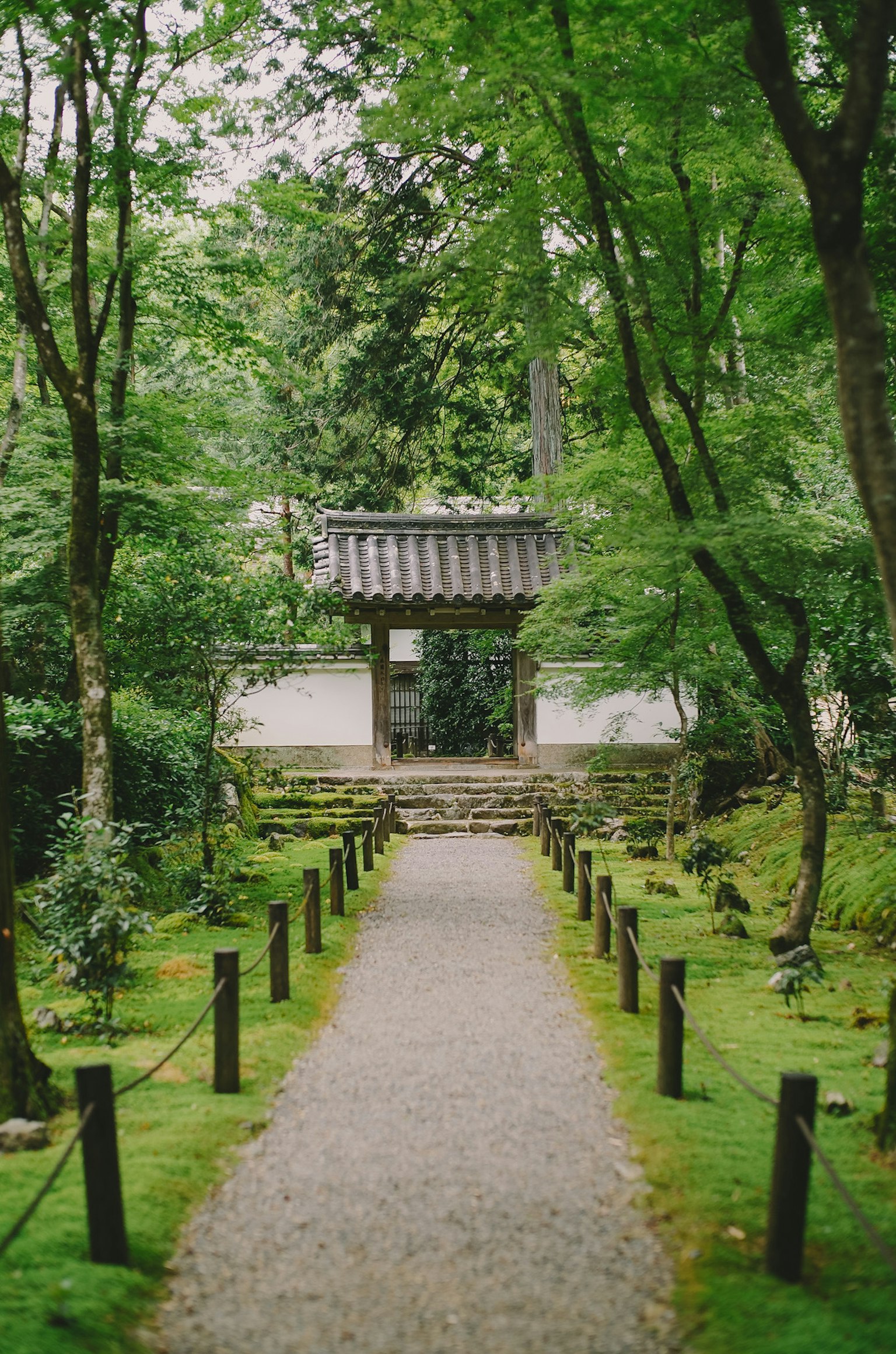Ein ruhiger Gartenweg, gesäumt von Bäumen, der zu einem traditionellen japanischen Tor führt