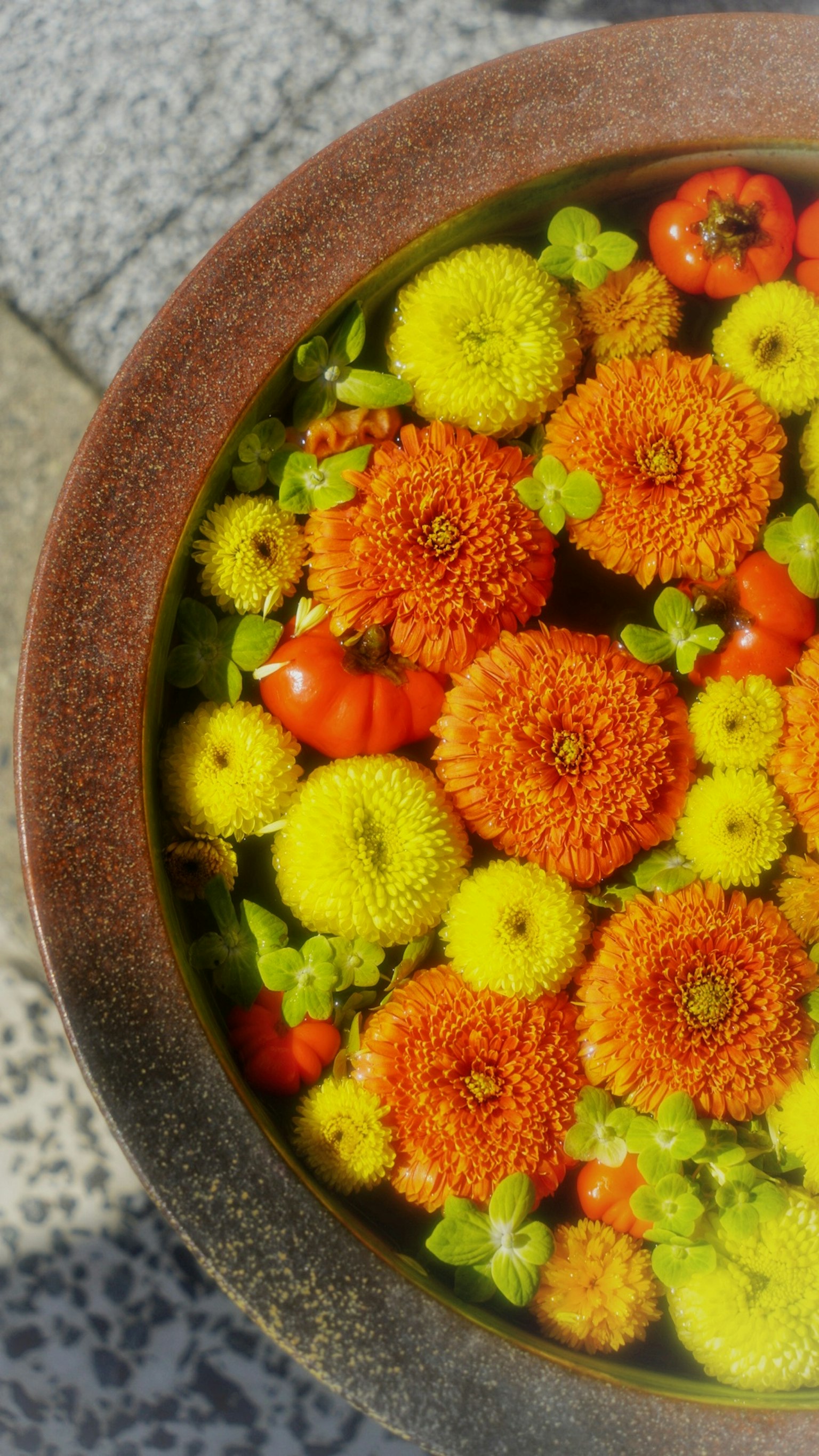 Fiori colorati che galleggiano in un vaso di ceramica