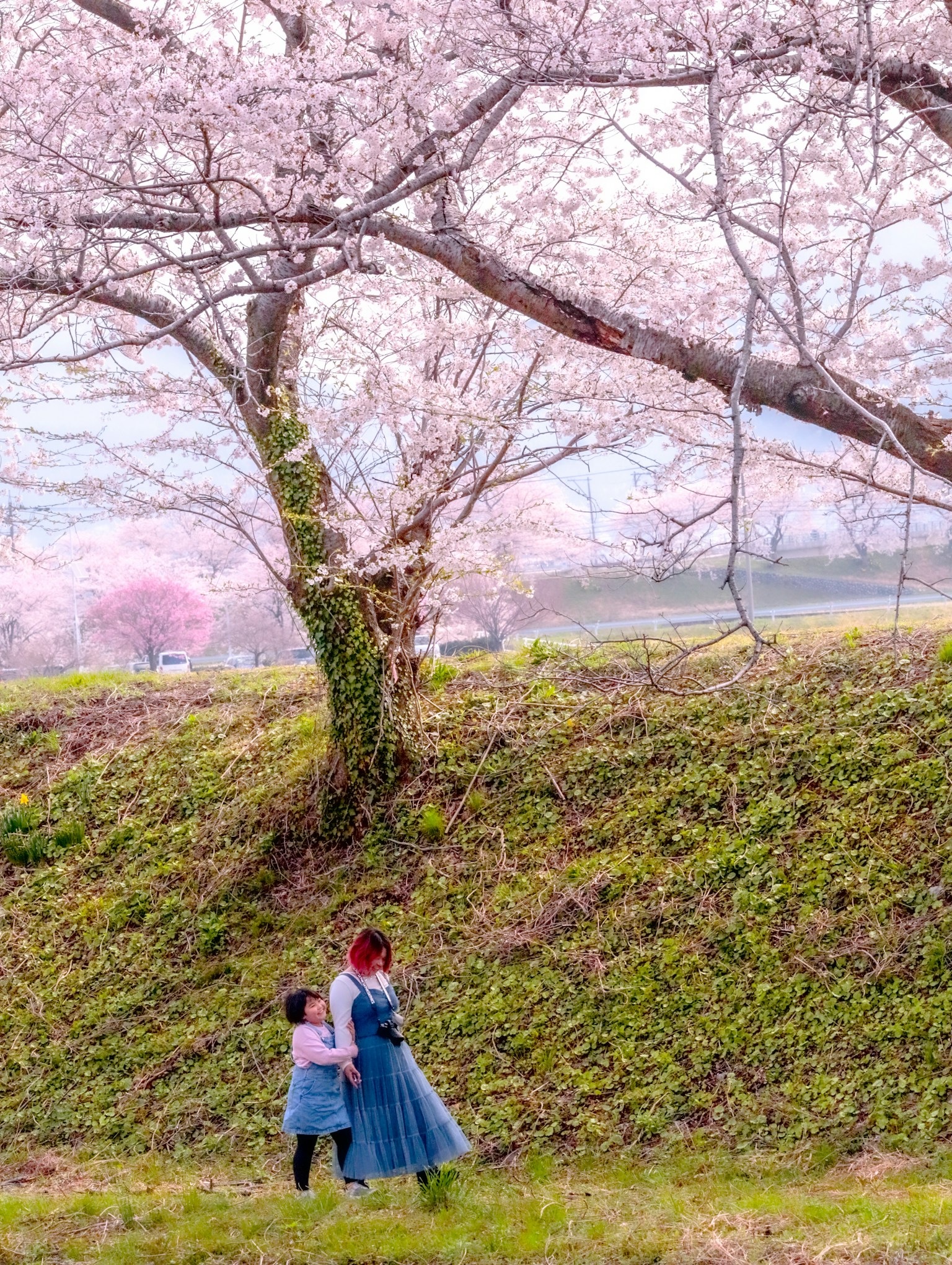 photo-kvxpeEk54shwjuoBpUqg-image