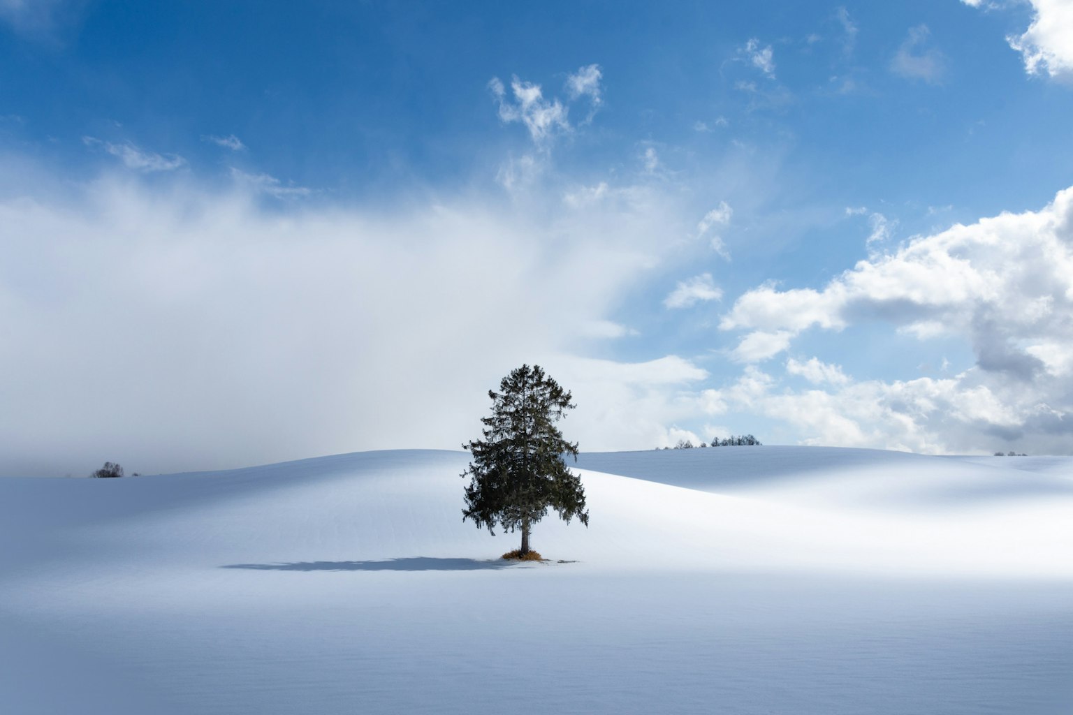 Un árbol solitario en un paisaje nevado bajo un cielo azul