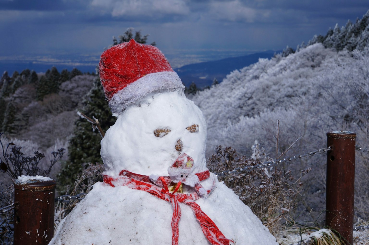 一个戴着红色帽子和红色围巾的雪人在雪景中站着