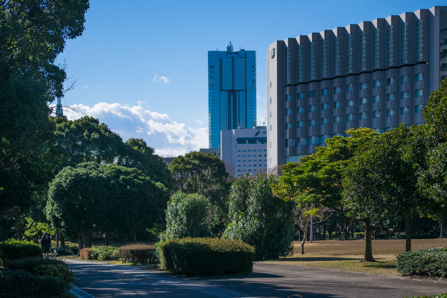 ทิวทัศน์สวนสาธารณะในเมืองที่มีต้นไม้และตึกระฟ้าทันสมัย