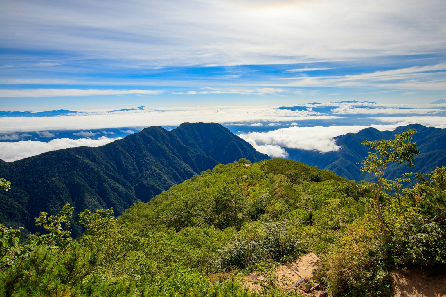 Vista panoramica di montagne sotto un cielo blu con nuvole vegetazione lussureggiante in primo piano