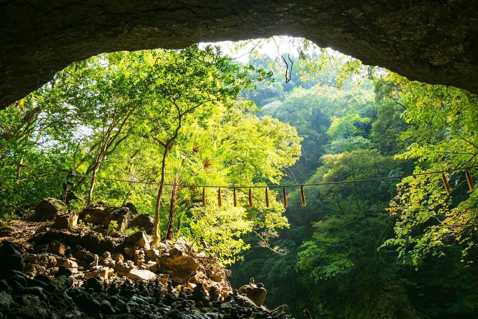 ภายในถ้ำที่แสดงให้เห็นป่าเขียวชอุ่มและสะพานแขวน