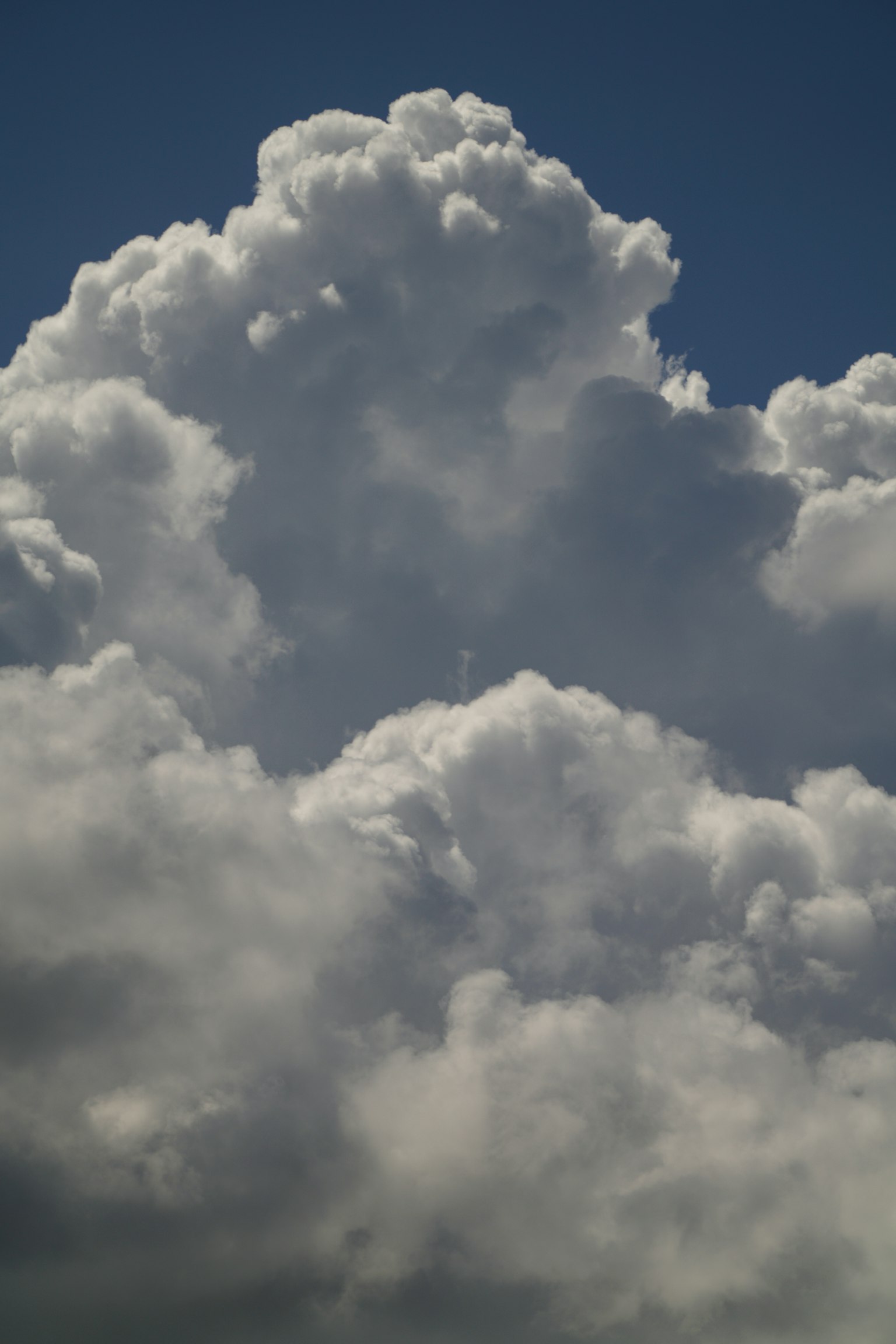Nuages blancs duveteux sur un ciel bleu