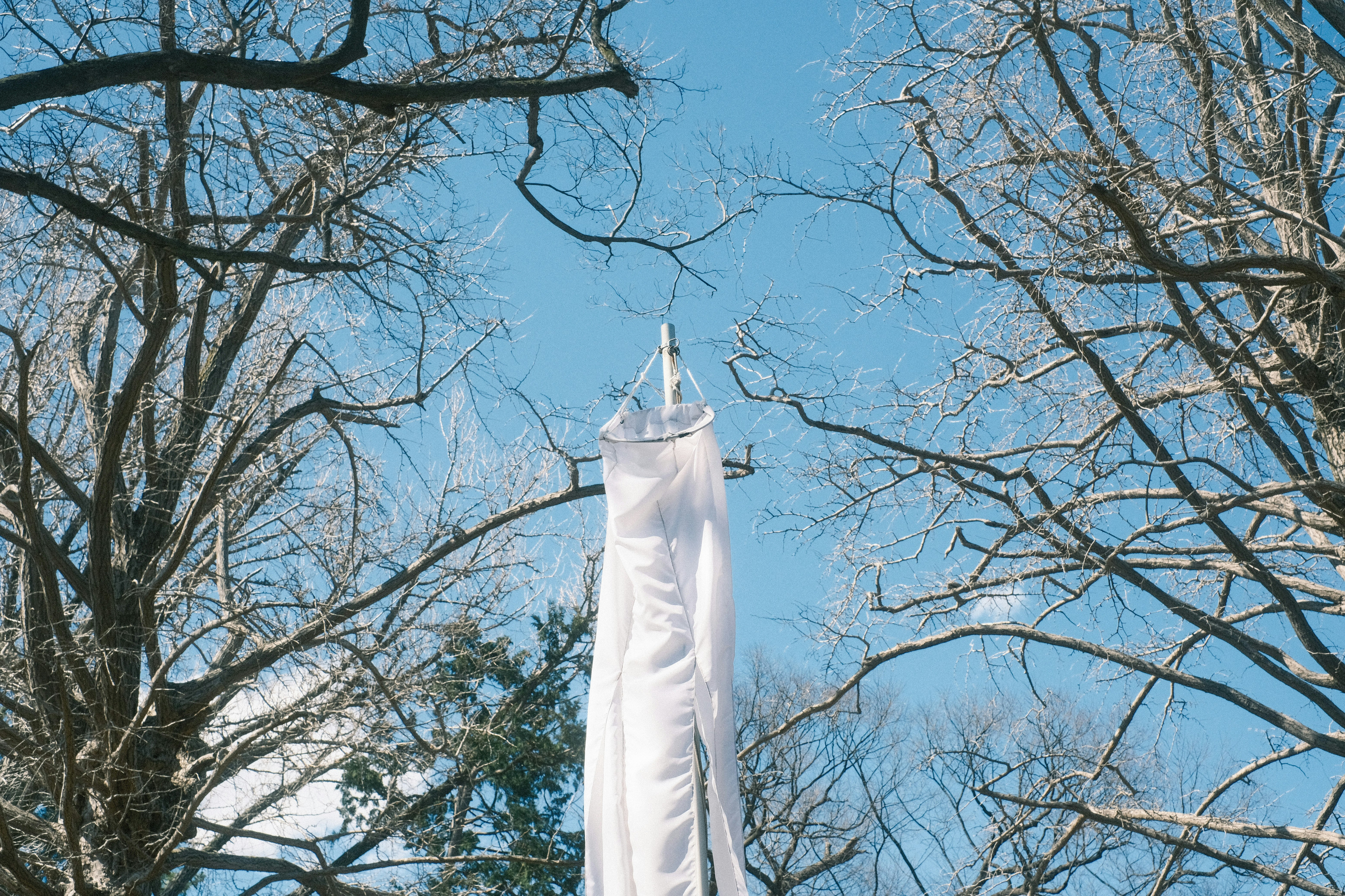 weiße windmühlenartige Stoffdekoration zwischen Ästen unter blauem Himmel