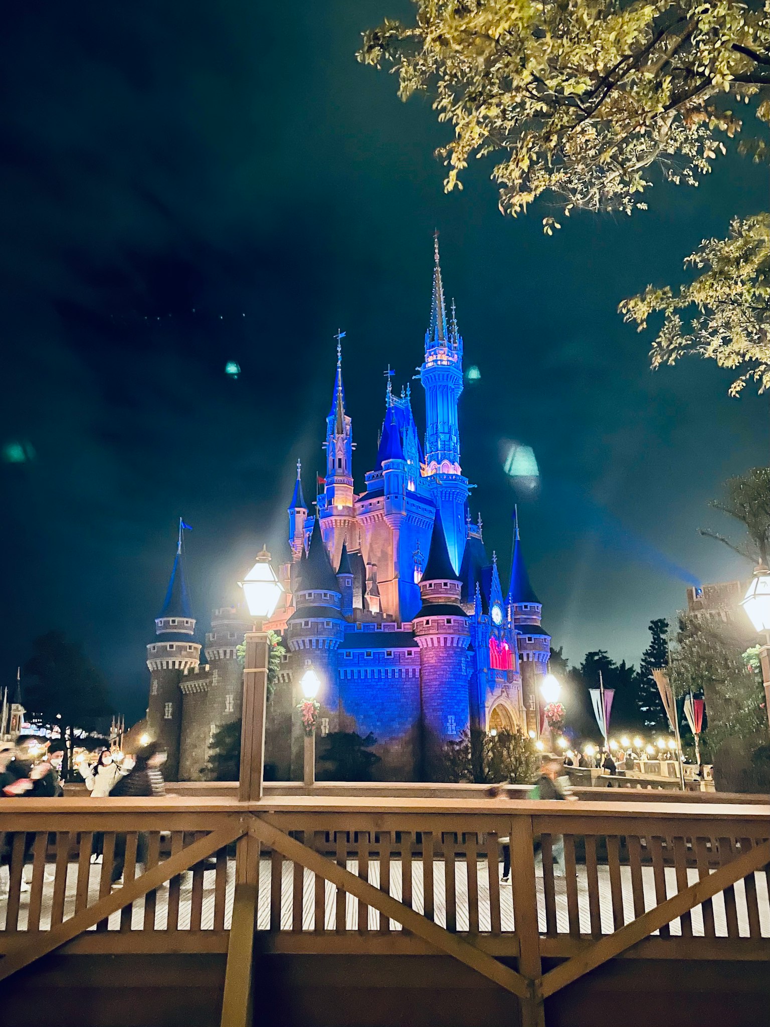 Castle illuminated in Disney colors at night