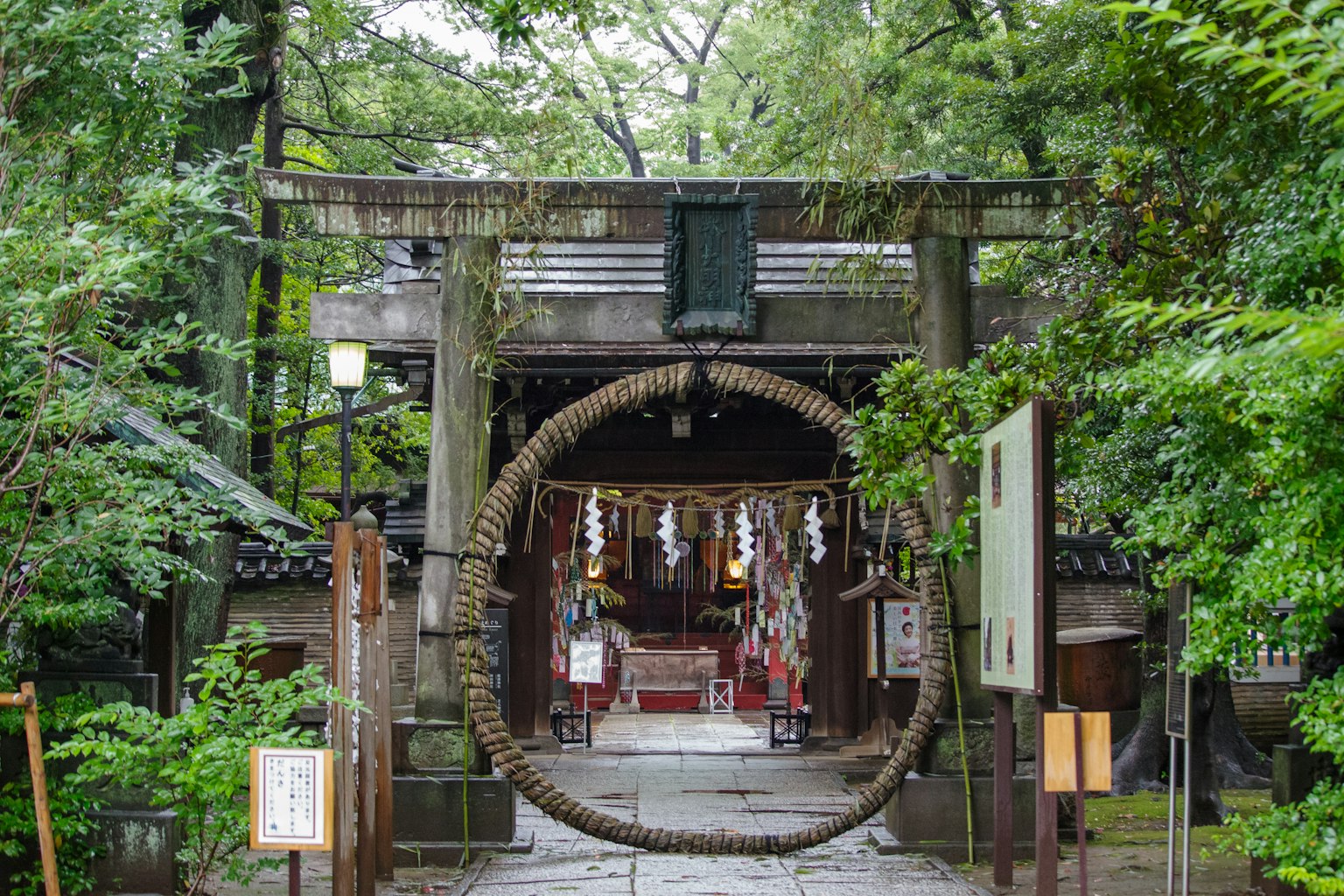 被绿色环绕的神社入口，特色是一个大环和鸟居