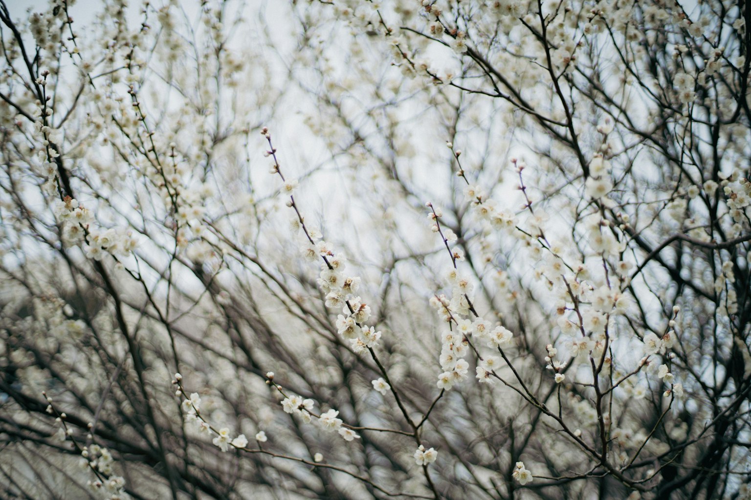 photo-l1pbCkvegLb9lSQUNL0r-image