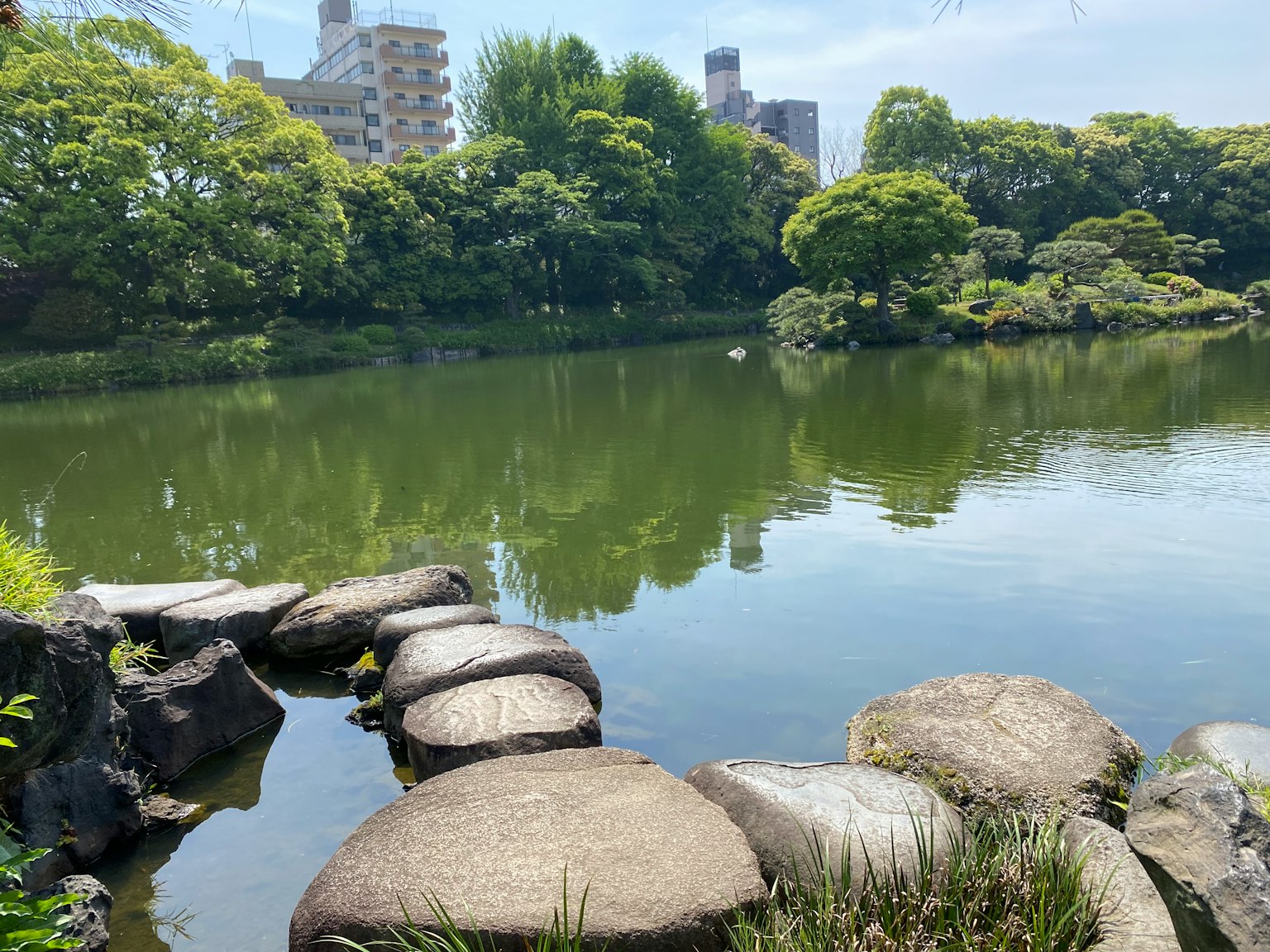 Serene park scene with a pond and stone pathway