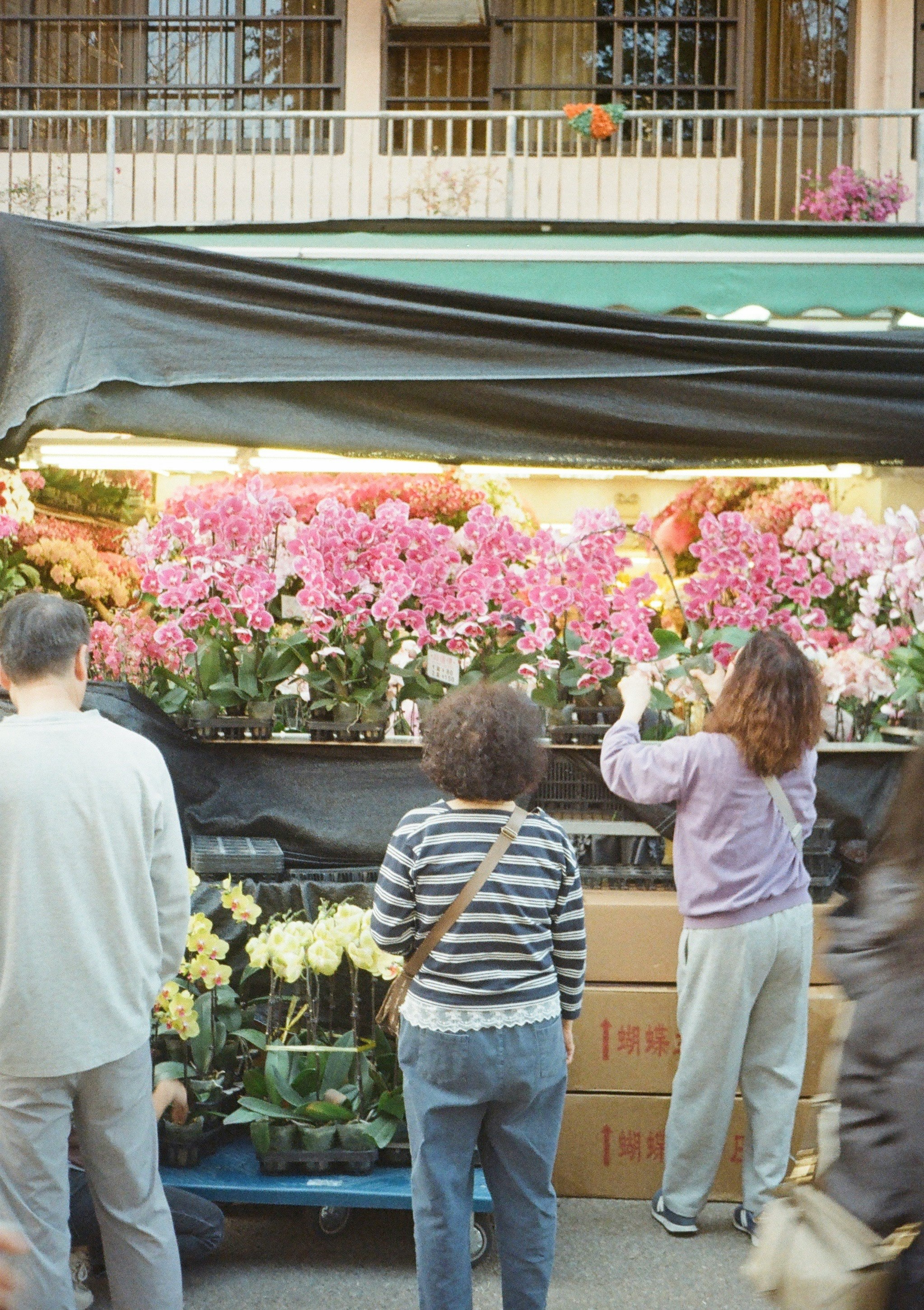 花屋の店先で並ぶ色とりどりの鉢植えと来店客