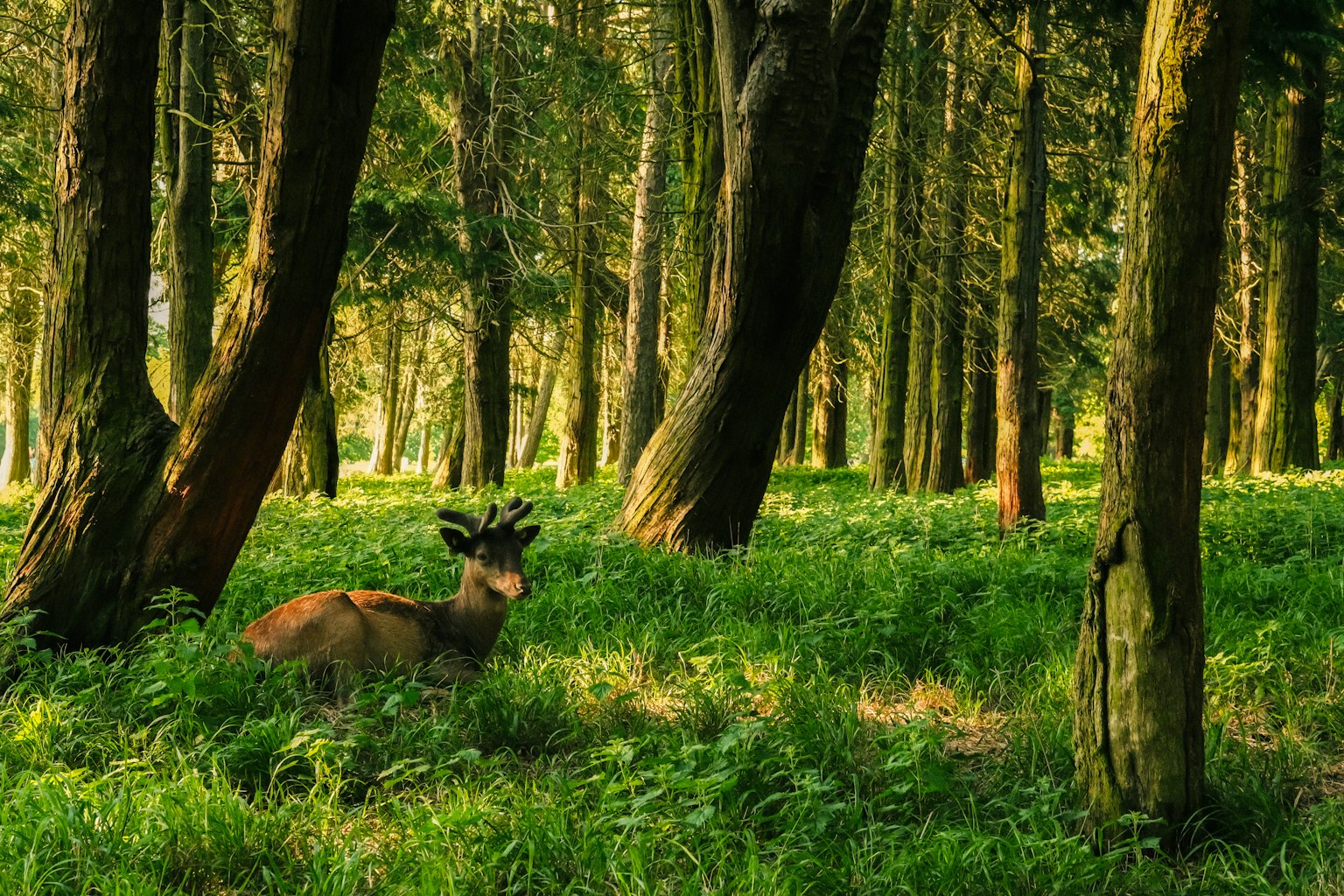 photo-l2ODmDgPxqGCCPjD6yBs-image