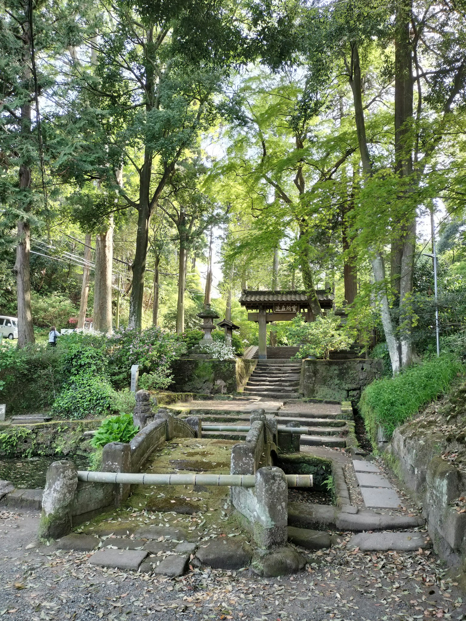 通往被郁郁蔥蔥的綠樹環繞的寧靜花園的石階