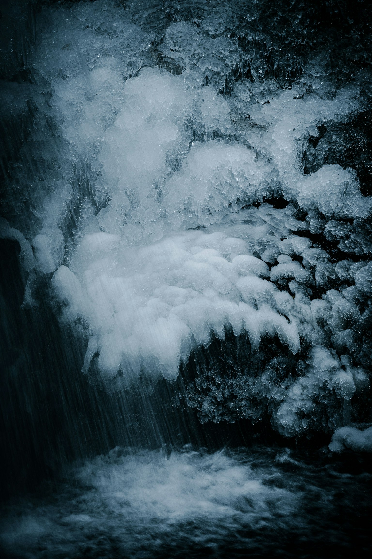 photo-l3OatsPAvTP5xXEJcBAp-image