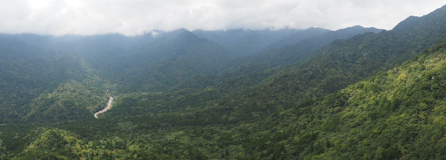 Pemandangan panorama pegunungan hijau subur dengan jalan berkelok