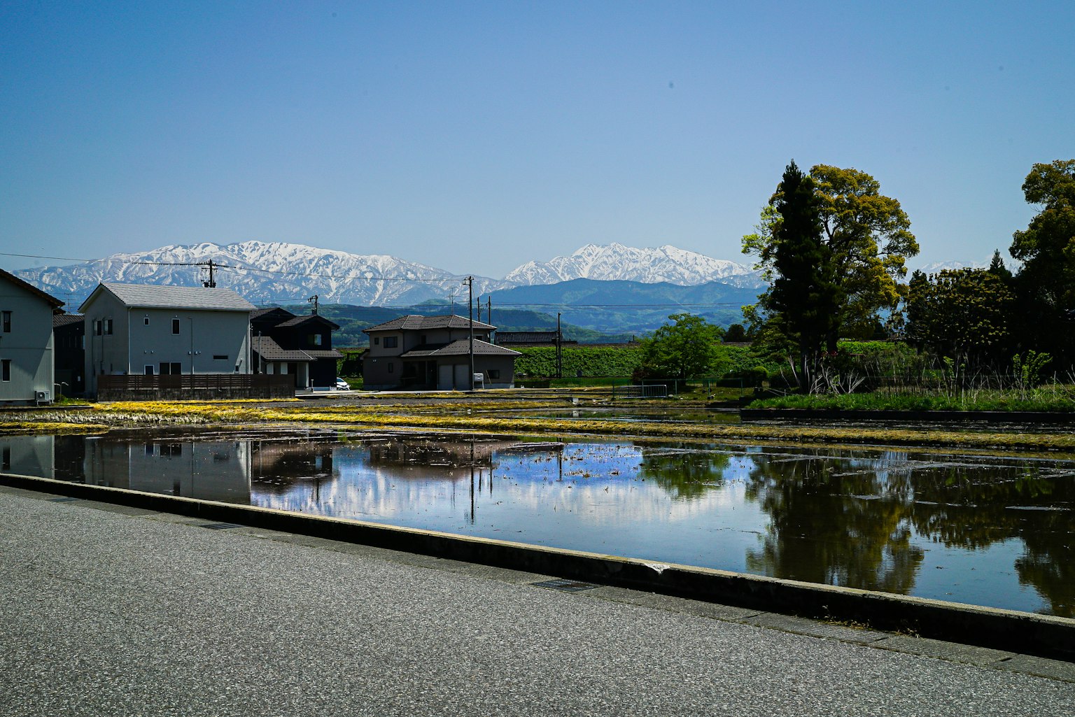 photo-l4499JottBM3xj4lgWnd-image