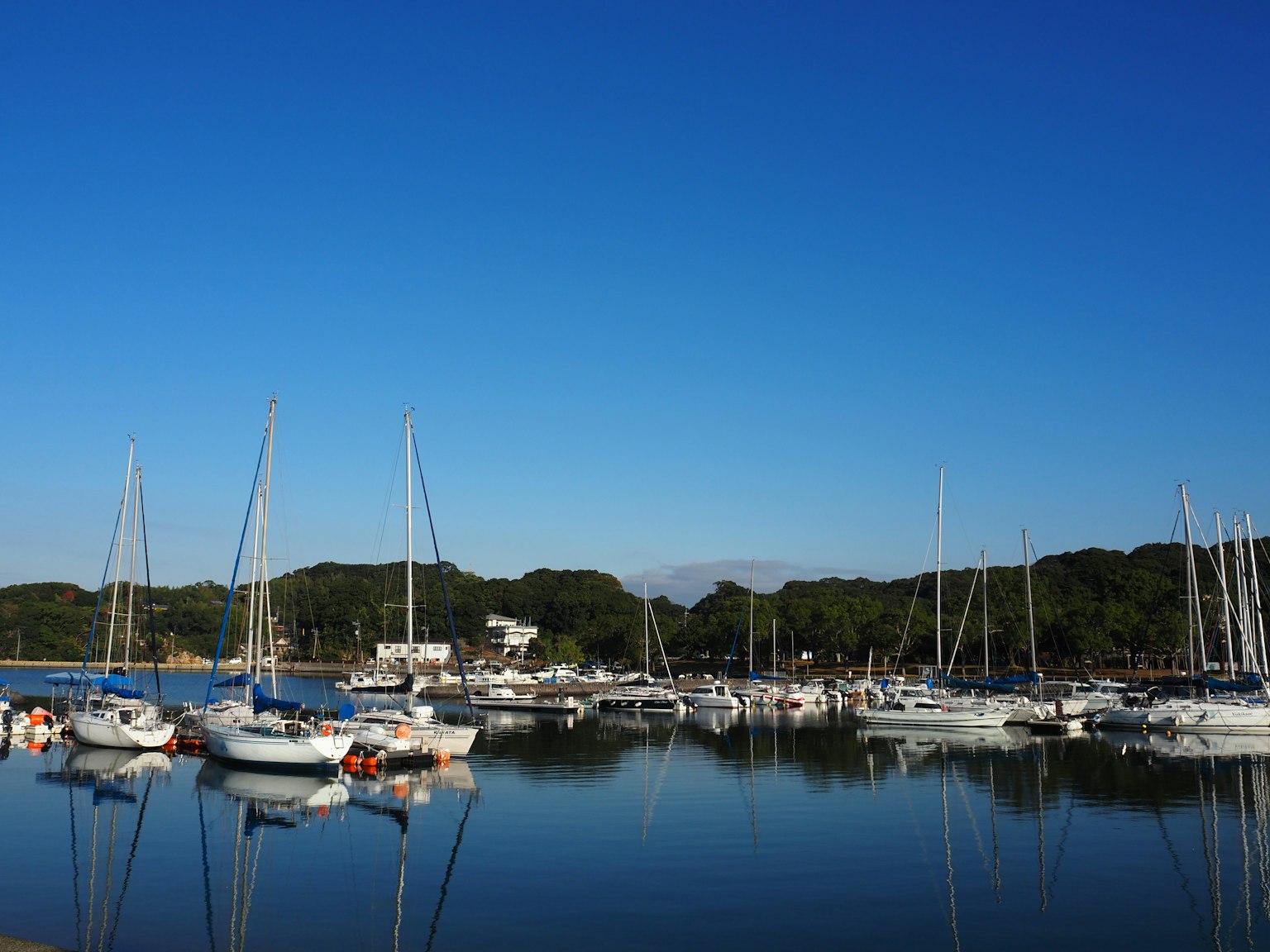 A serene harbor scene with sailboats and yachts under a clear blue sky