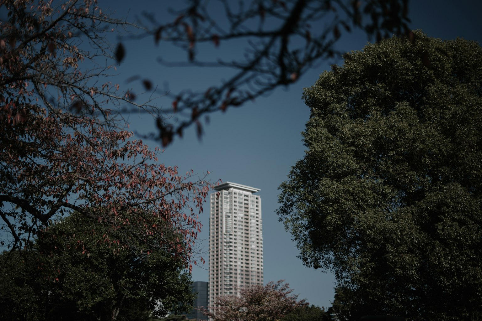 A tall building seen through trees in a park