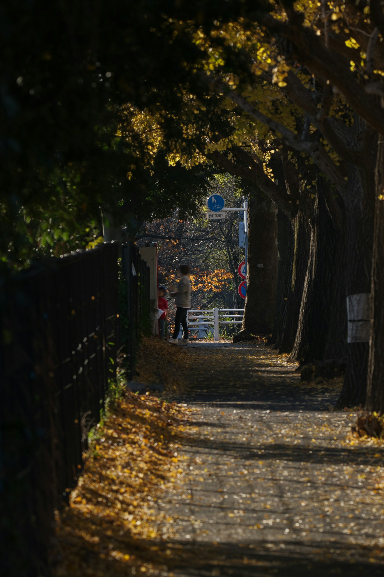 Herbstweg gesäumt von Bäumen und gefallenen Blättern mit Menschen, die gehen
