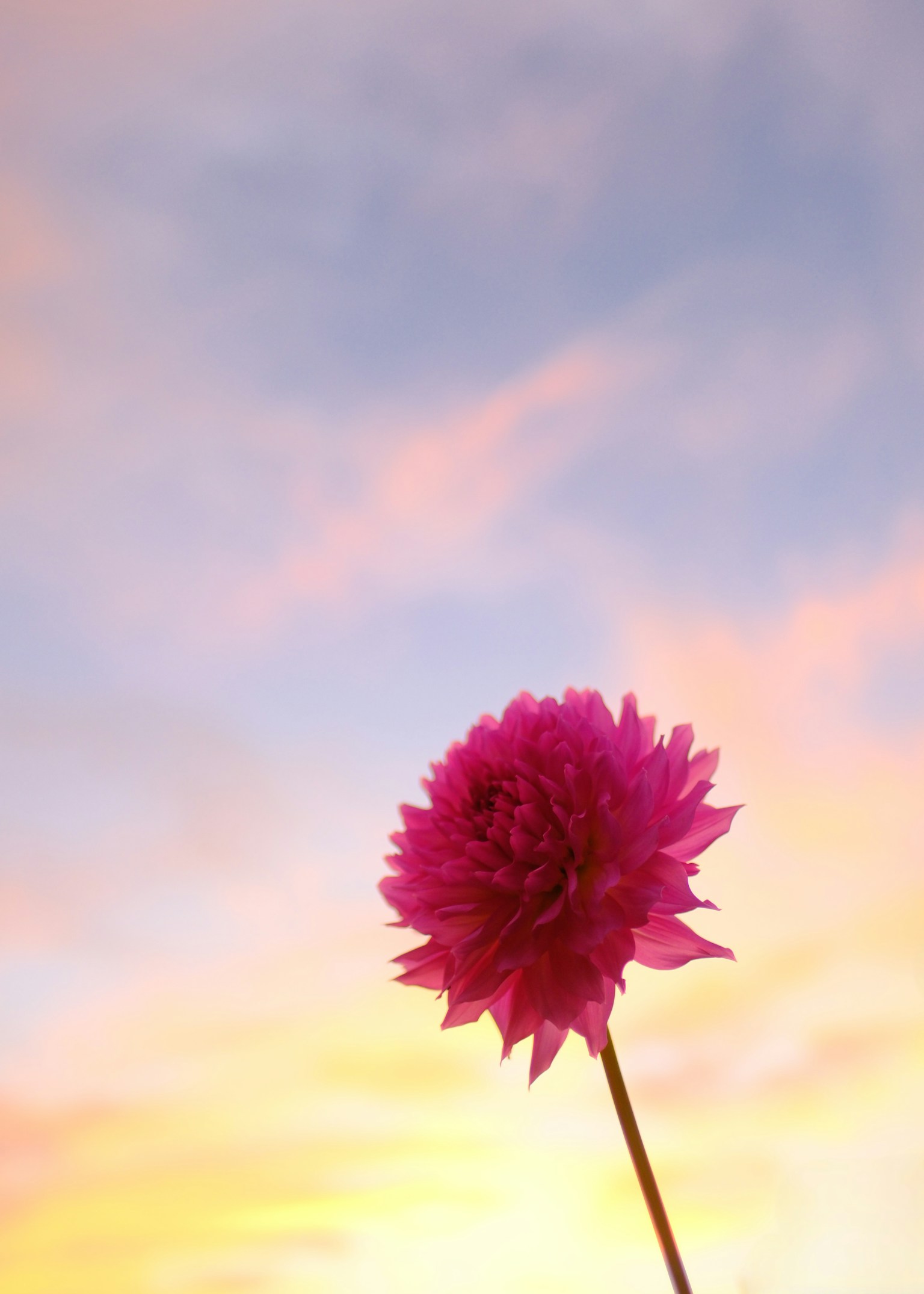 photo-l50Nq4zS1yQPQsfOFE8d-image